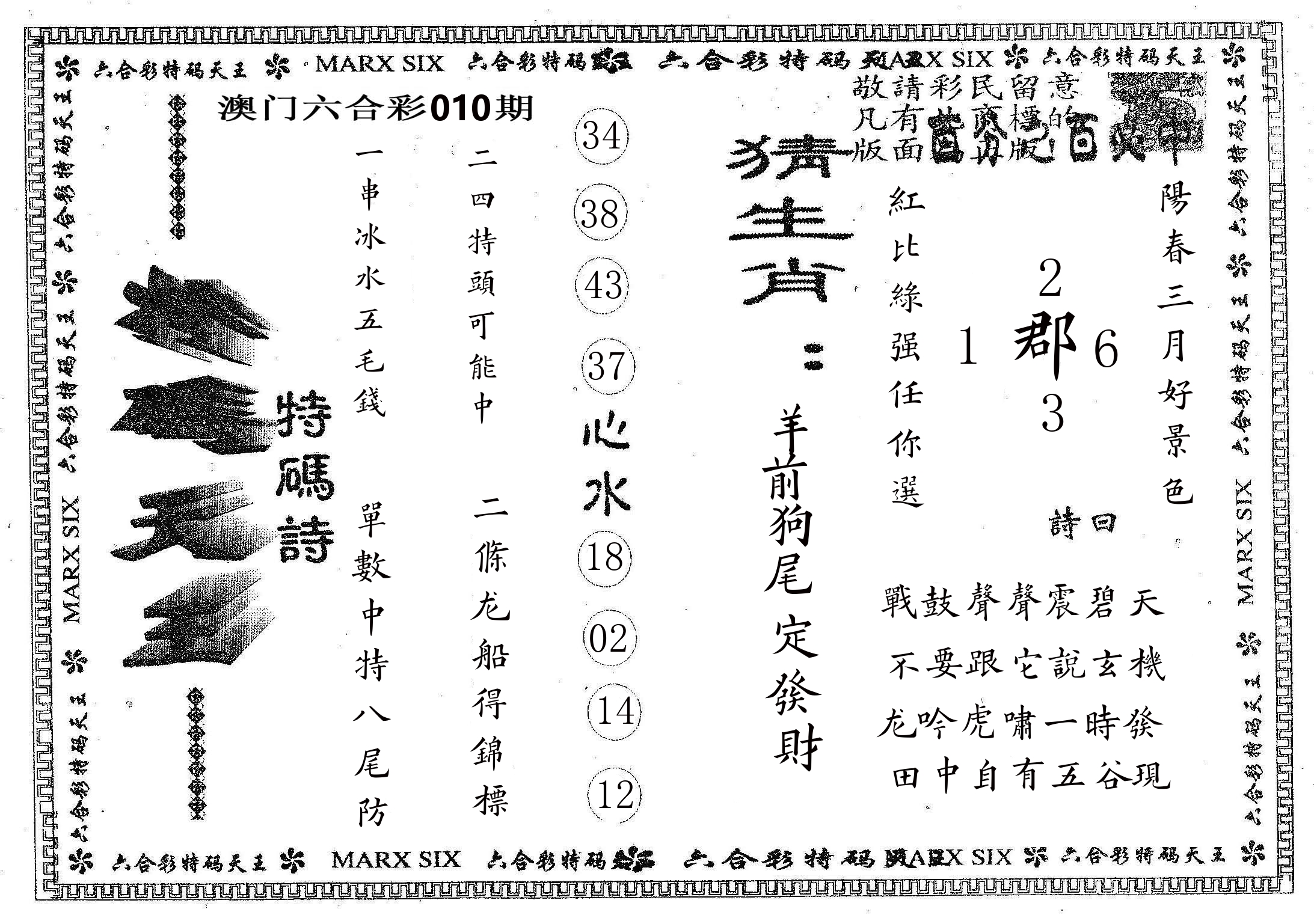 天码天王 第10期