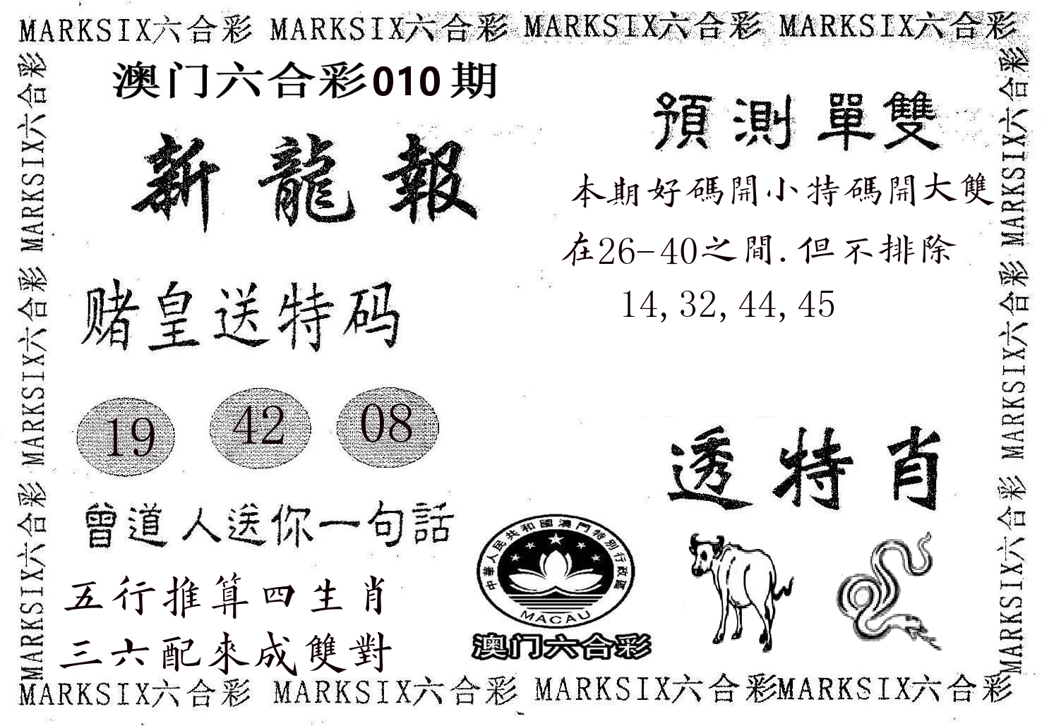 新龙报 第10期