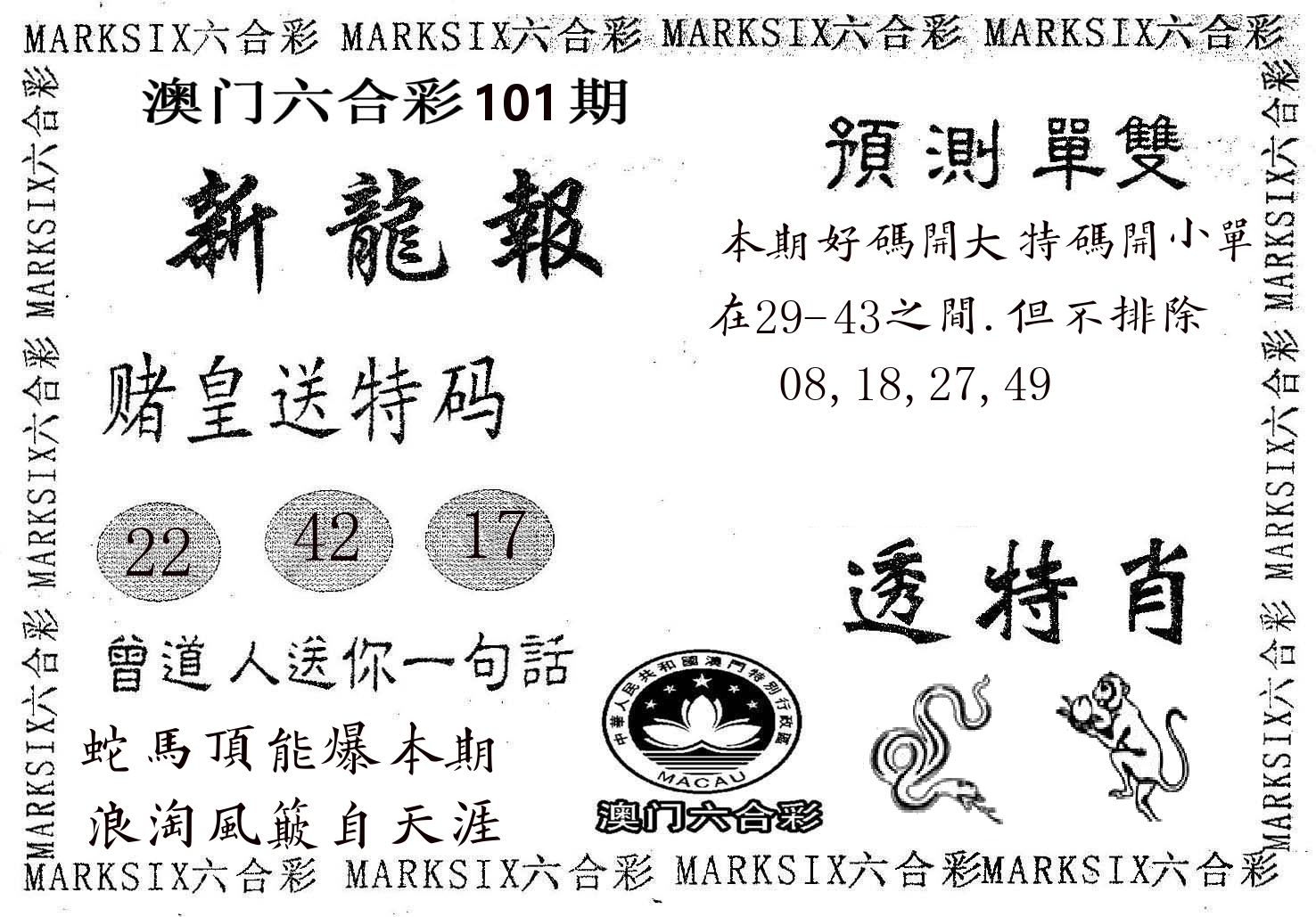 新龙报 第101期