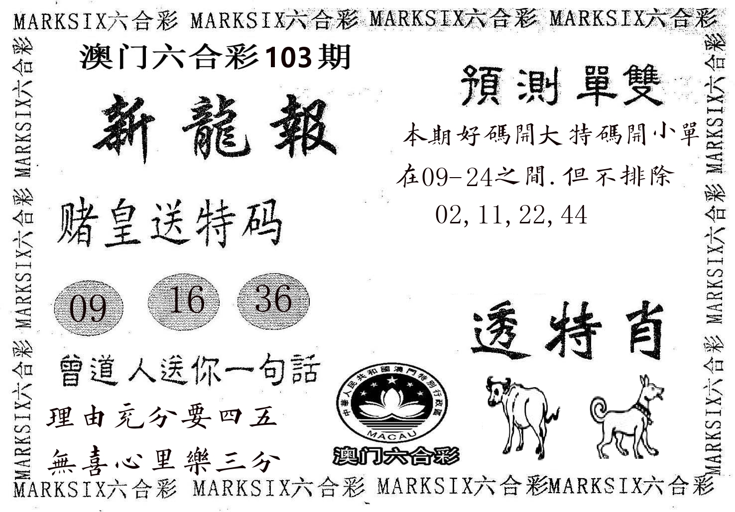 新龙报 第103期