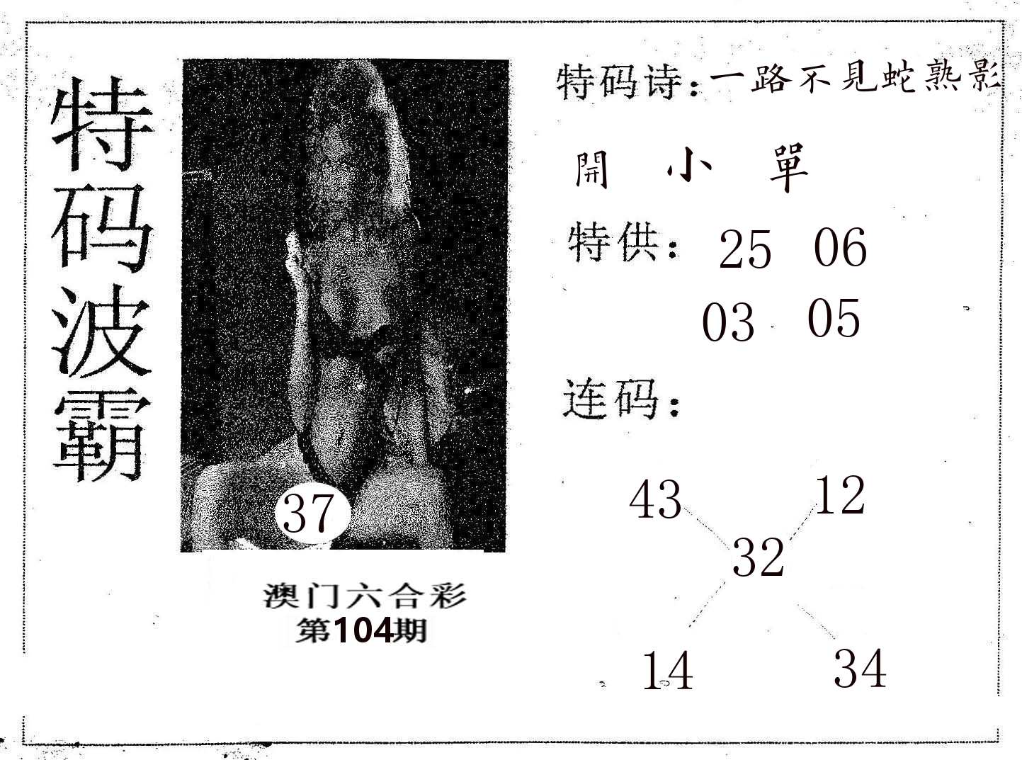 特码波霸 第104期