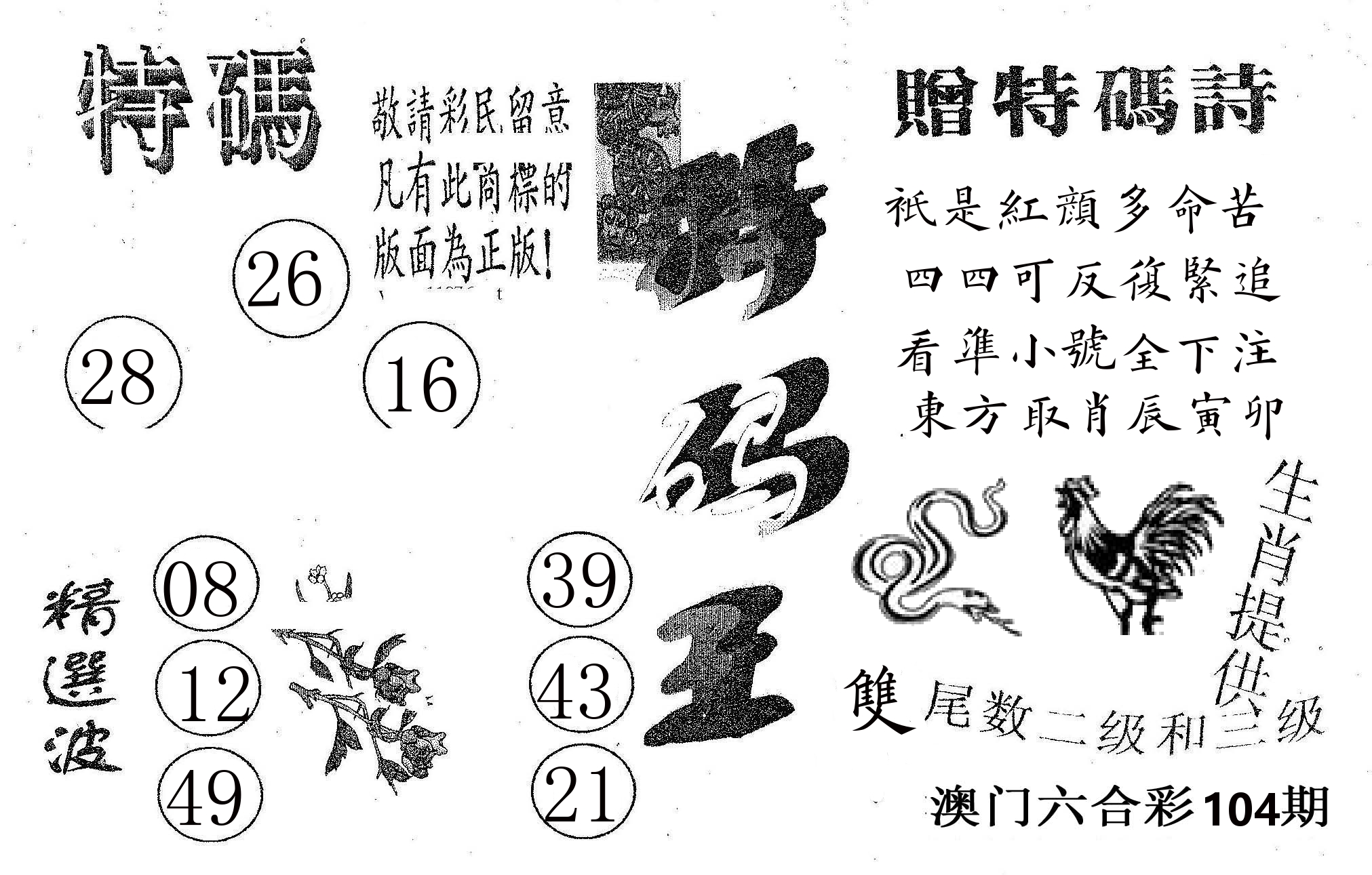 特码王A 第104期