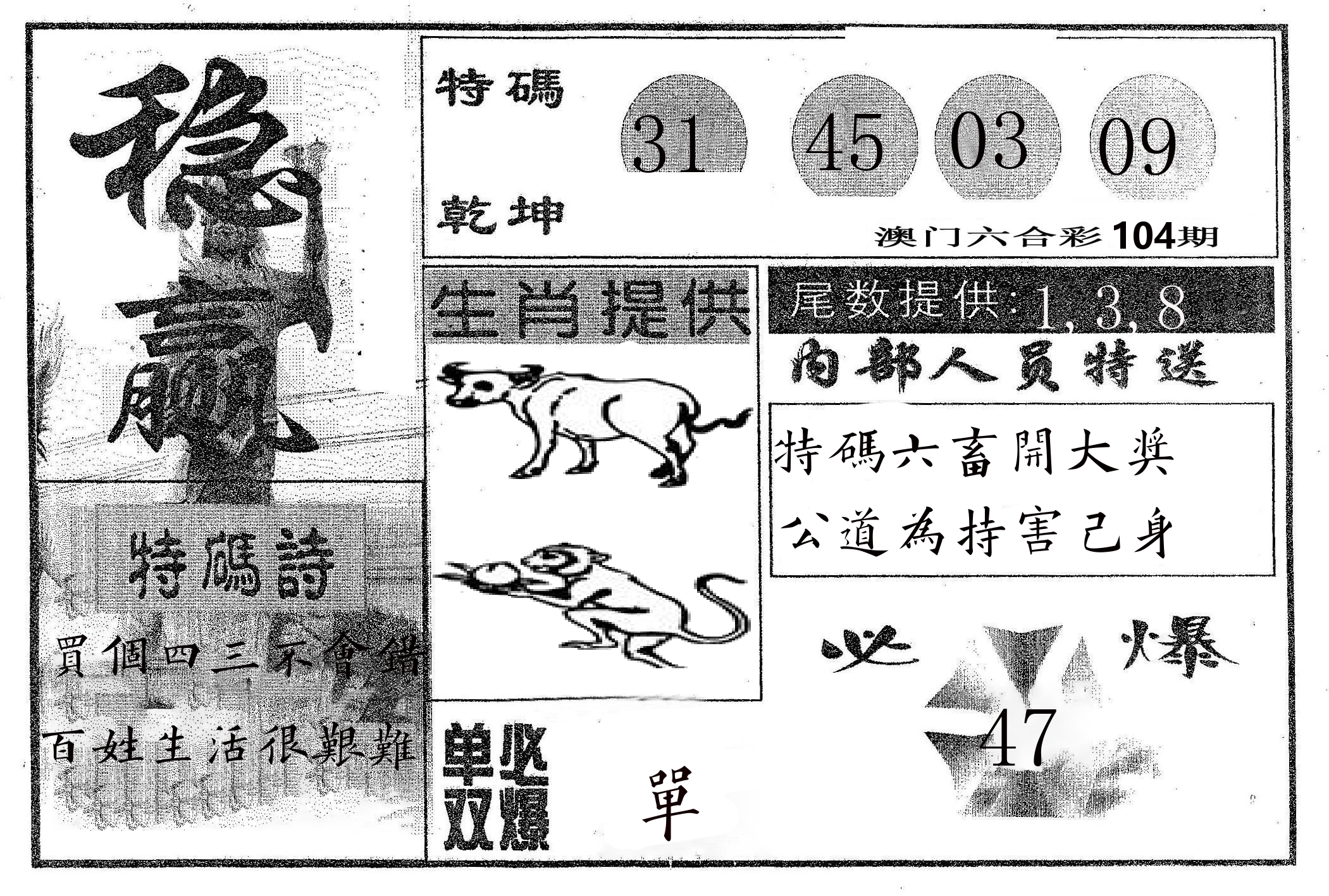 稳赢 第104期