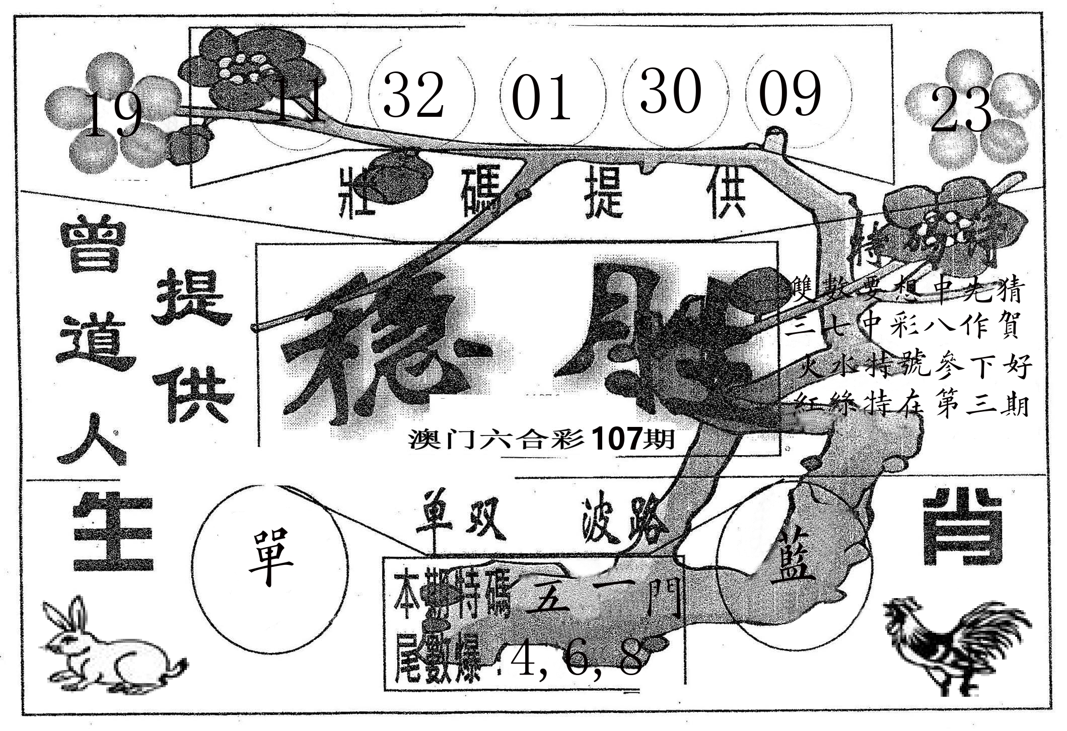 稳胜 第107期