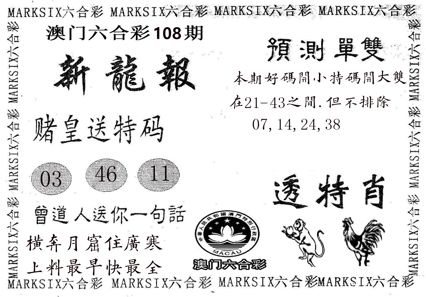新龙报 第108期