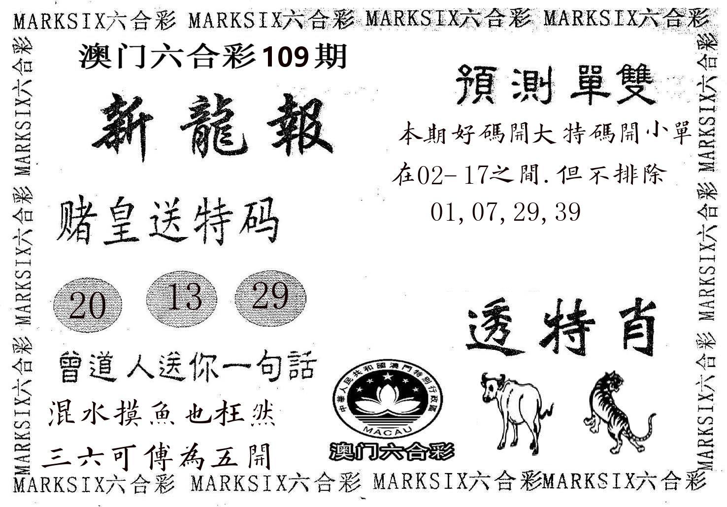 新龙报 第109期