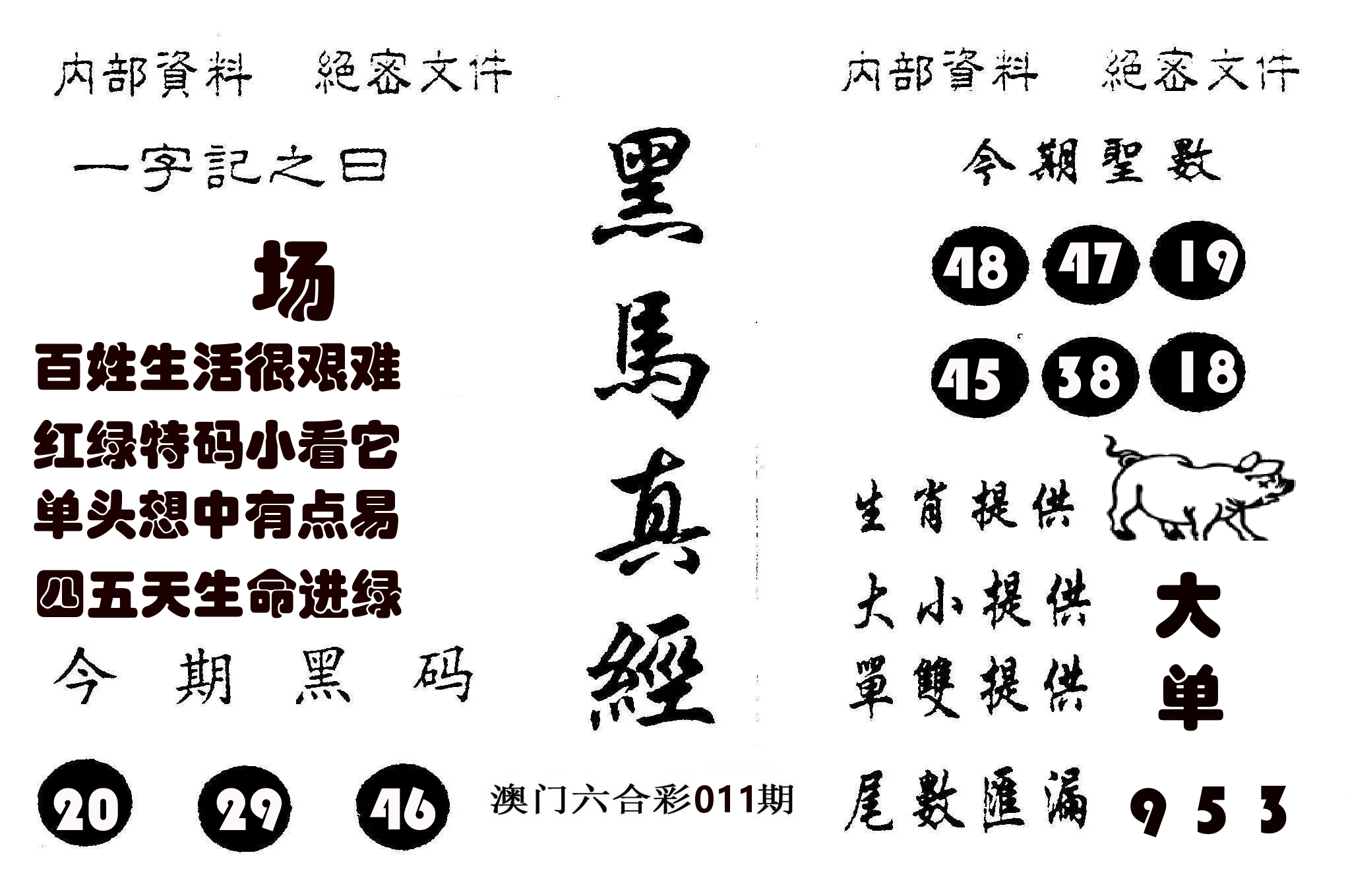 黑马真经 第11期
