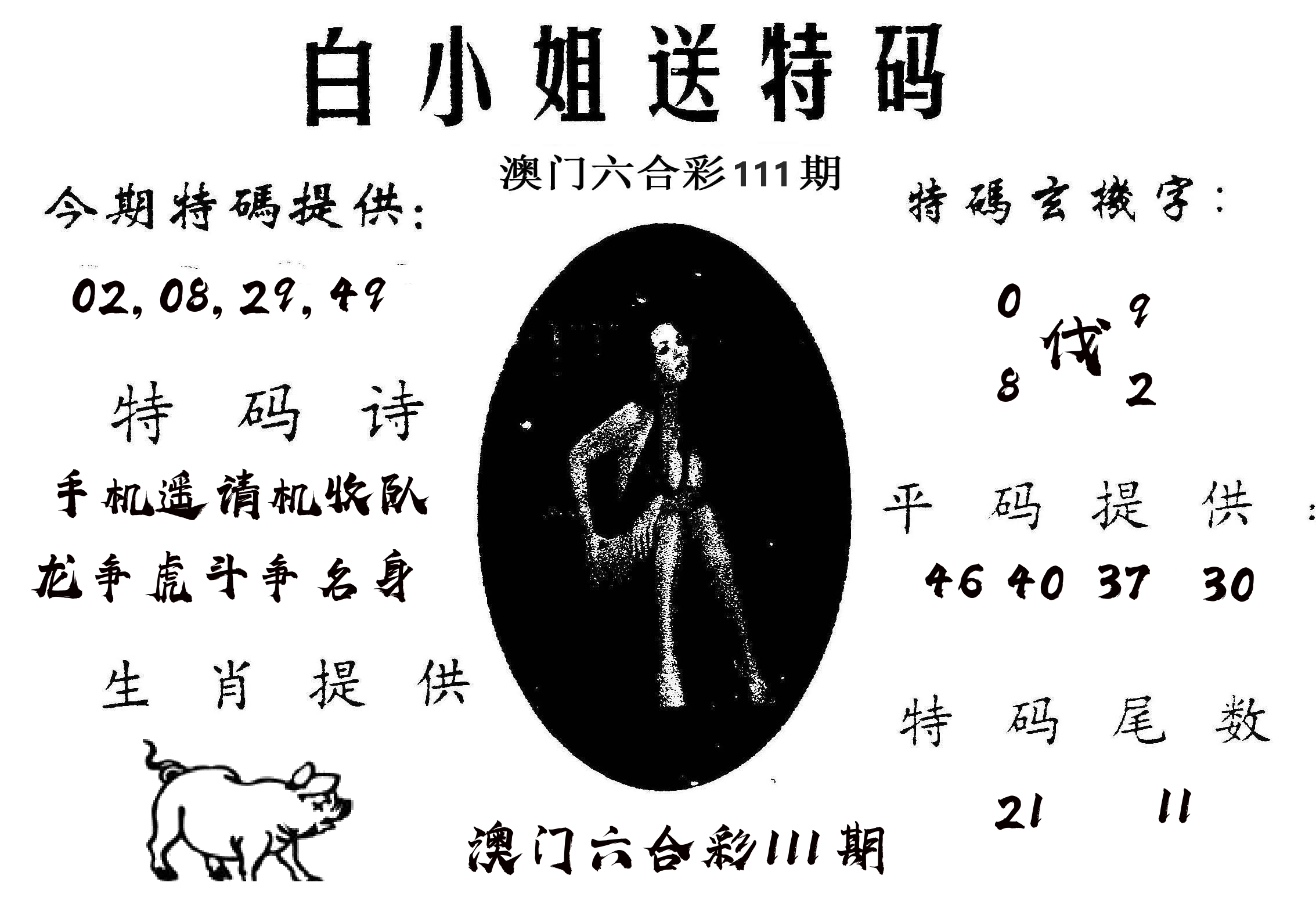 白姐送特 第111期