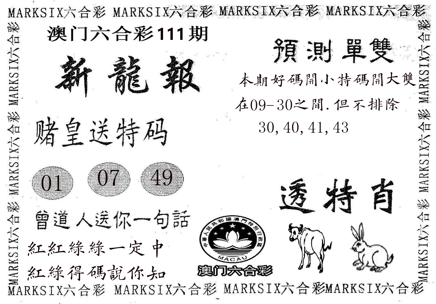 新龙报 第111期