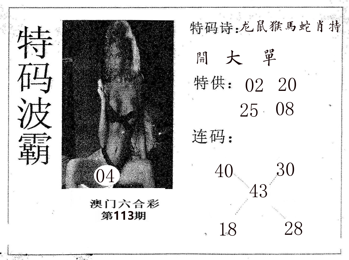 特码波霸 第113期