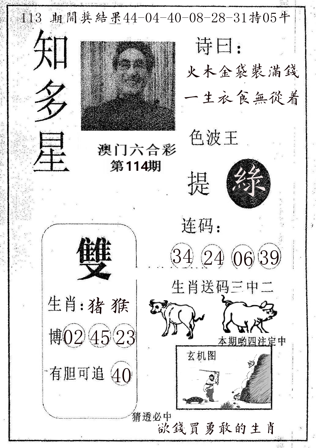 知多星 第114期