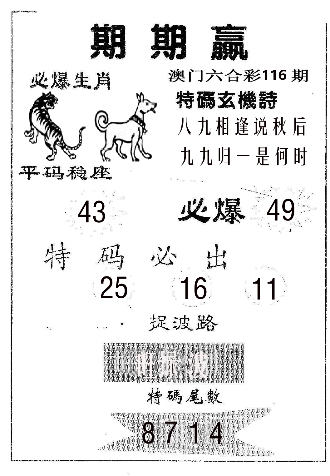 期期赢 第116期