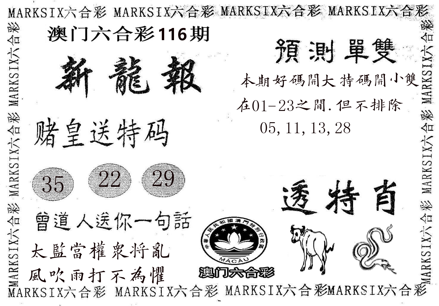 新龙报 第116期