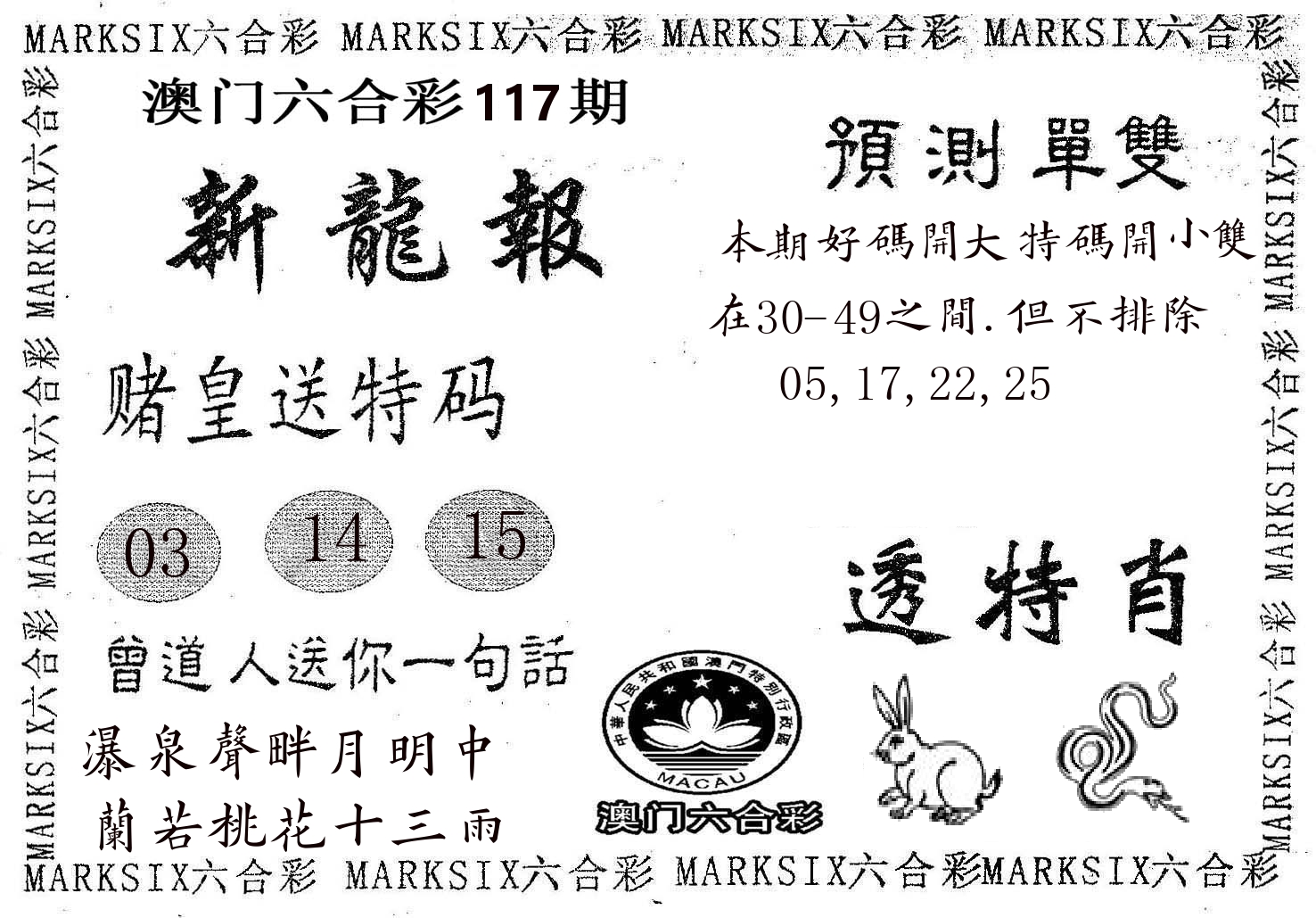 新龙报 第117期