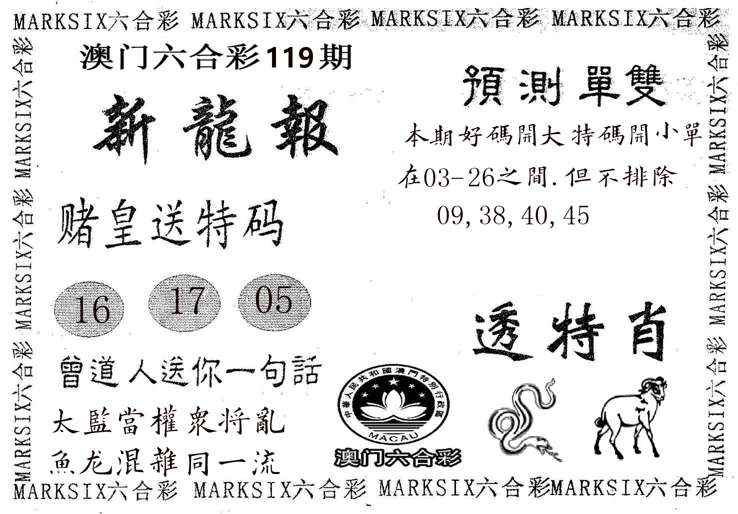 新龙报 第119期