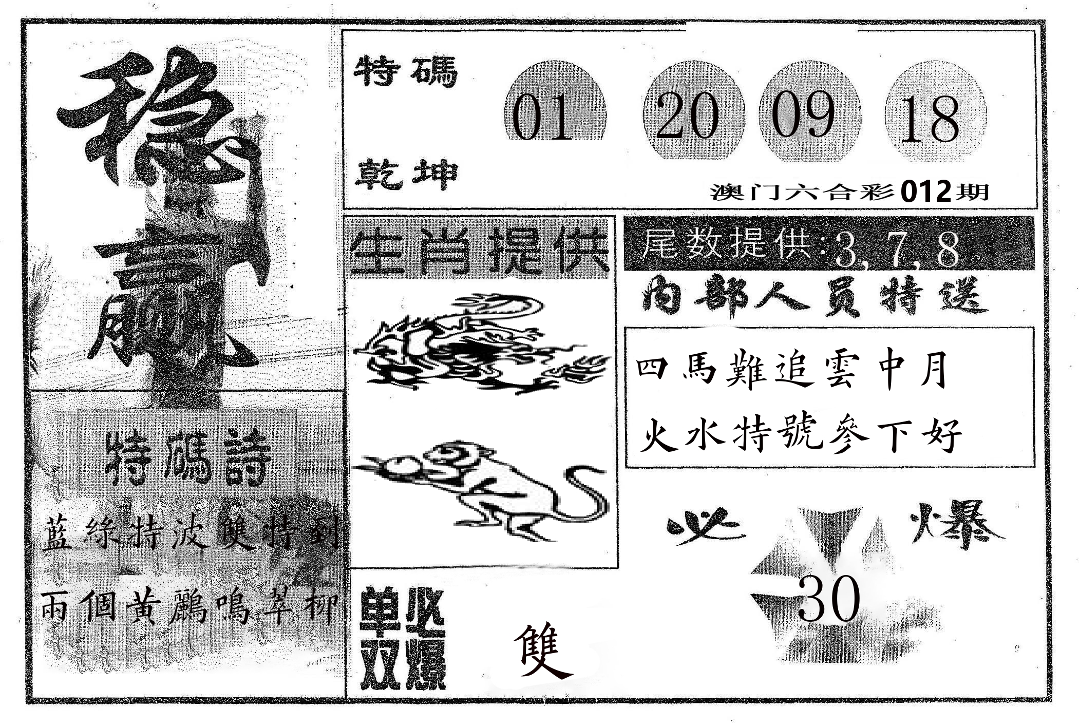 稳赢 第12期