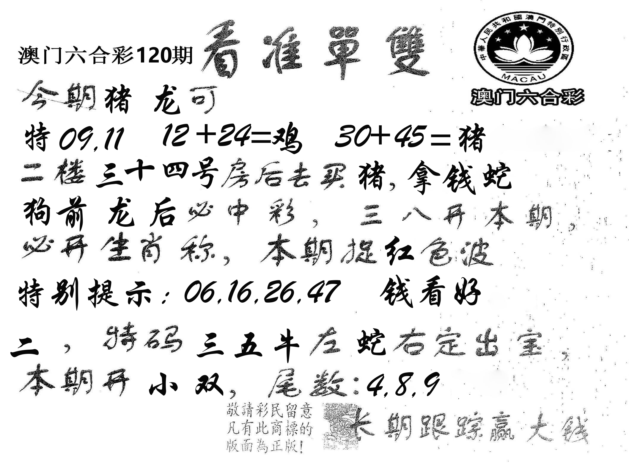 看准单双 第120期