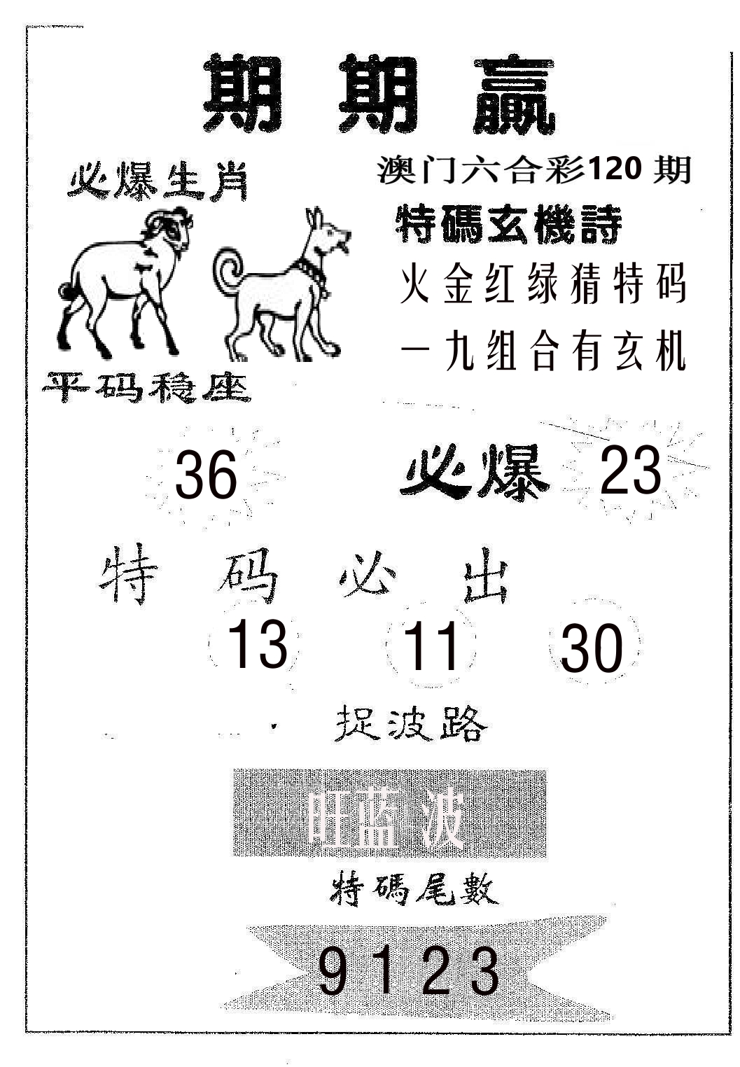 期期赢 第120期