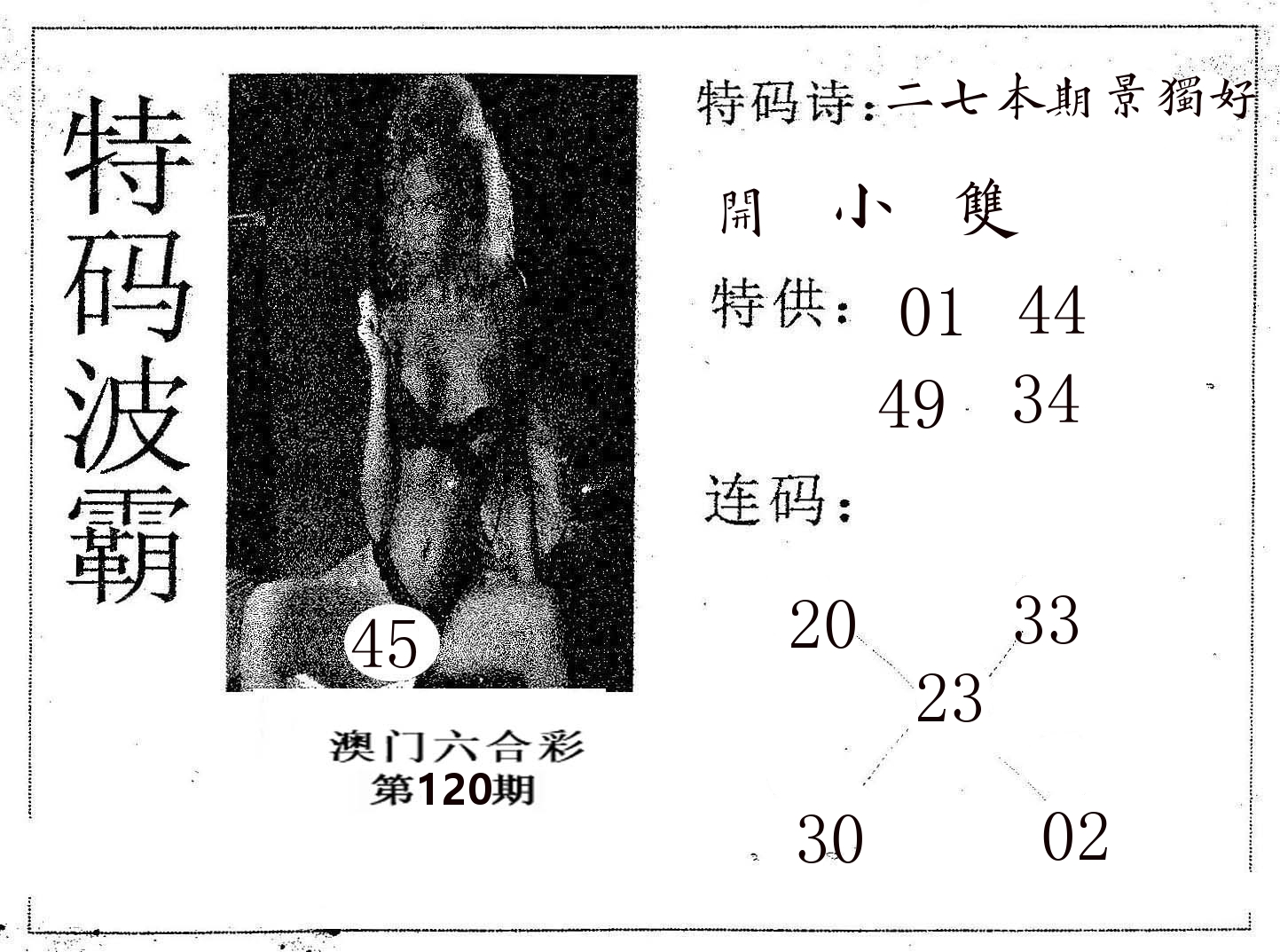 特码波霸 第120期