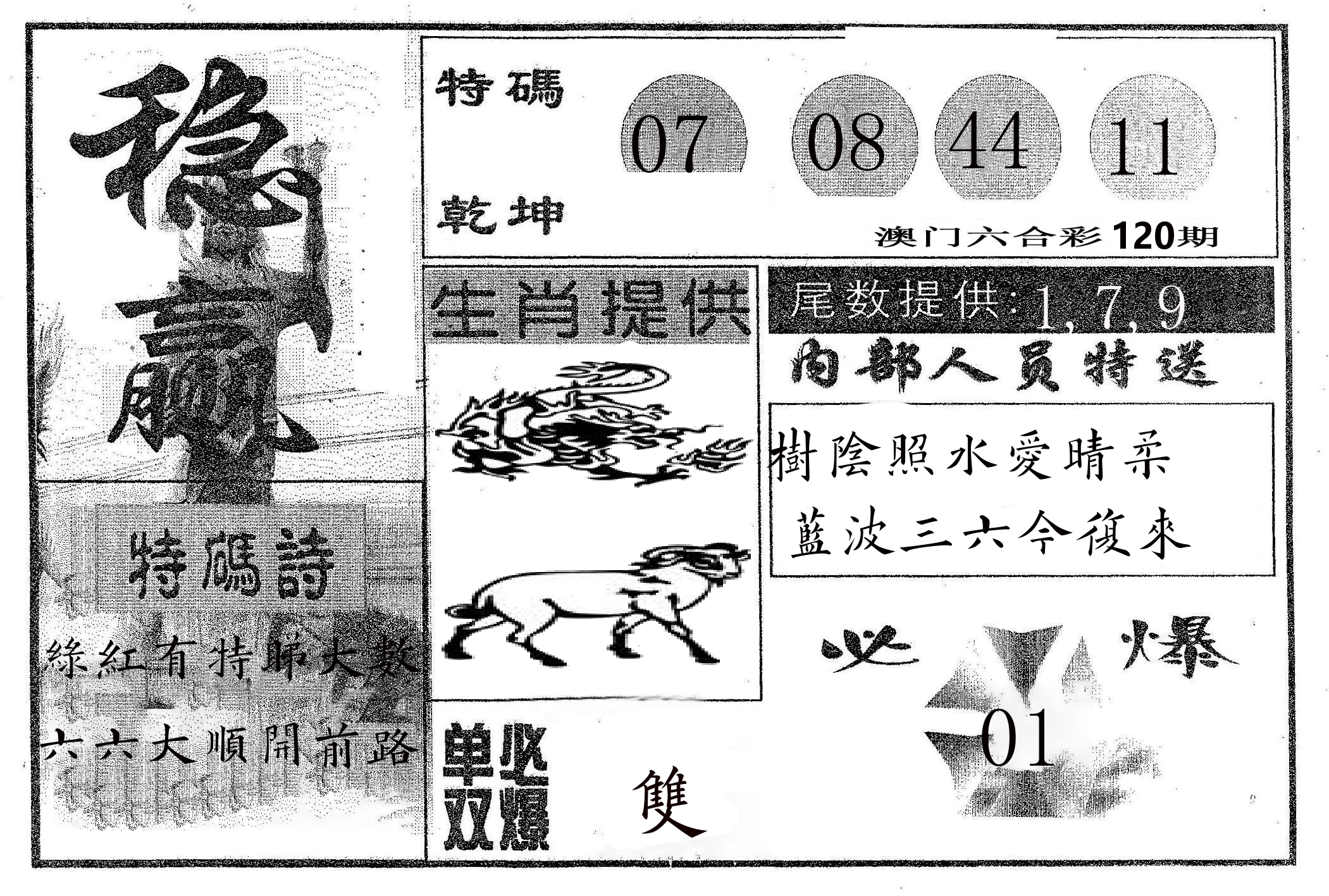 稳赢 第120期
