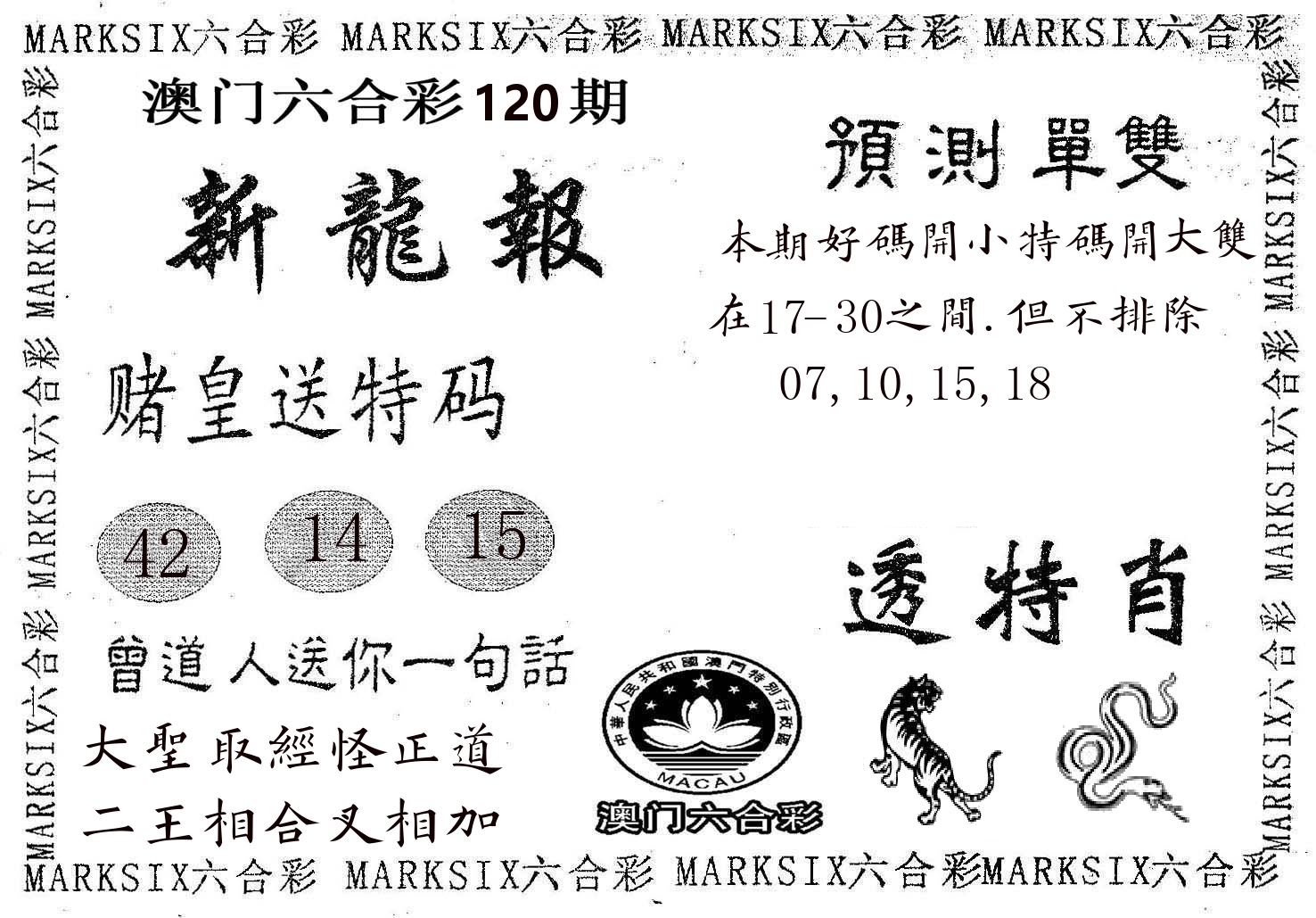 新龙报 第120期