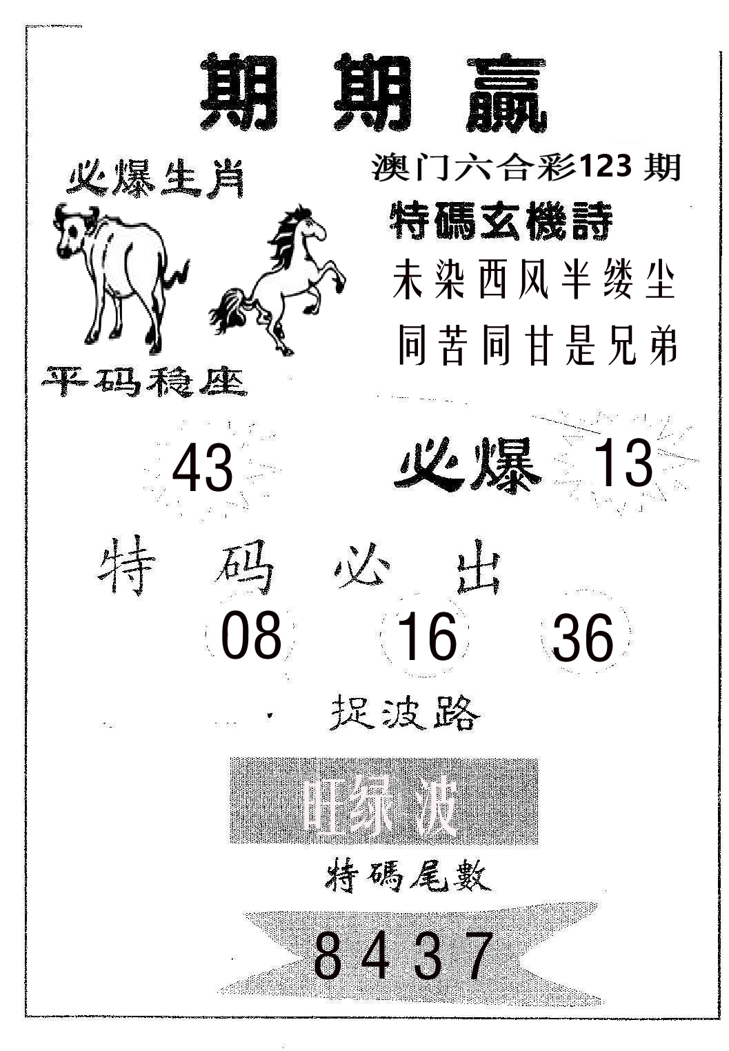 期期赢 第123期