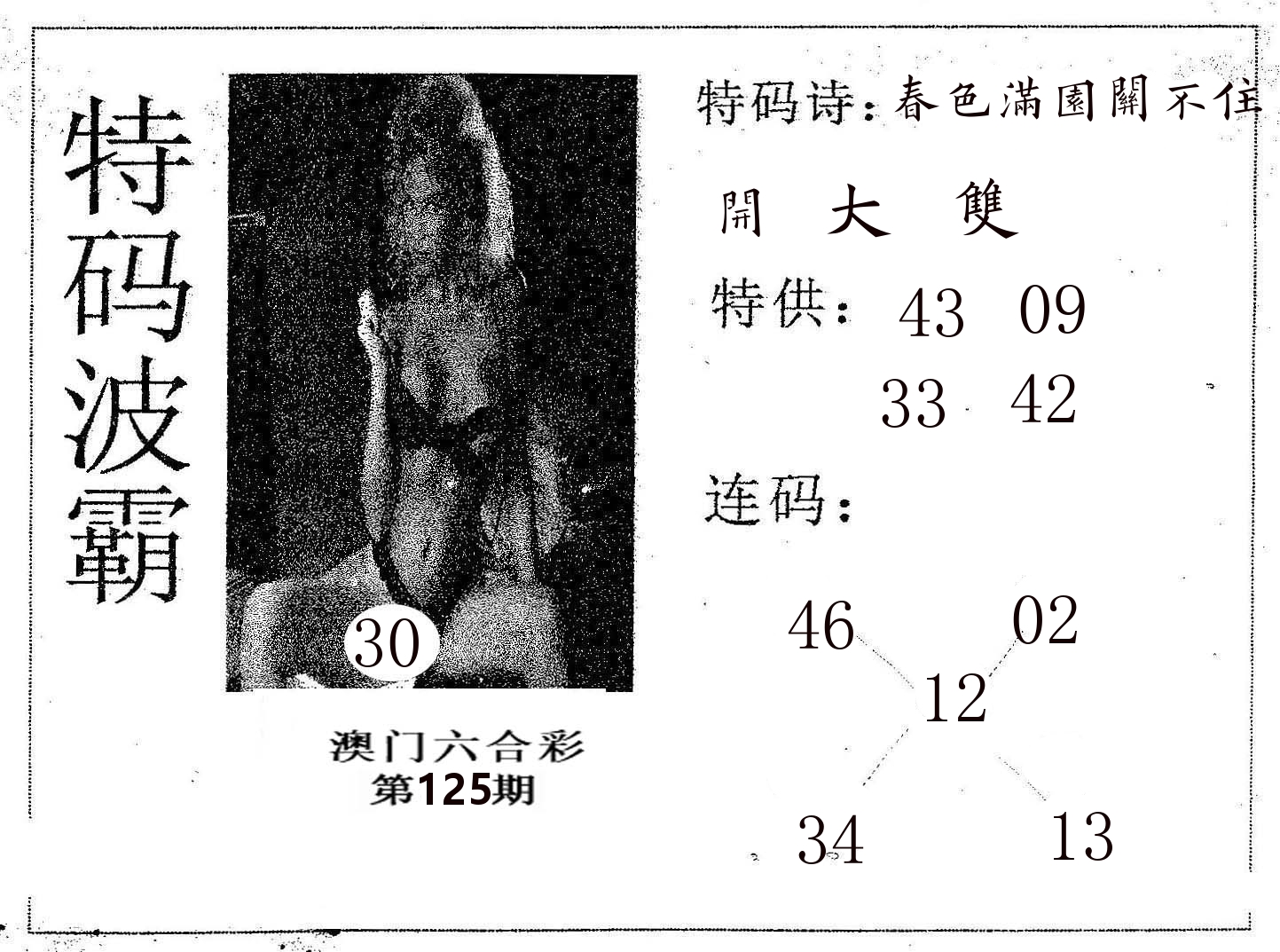 特码波霸 第125期