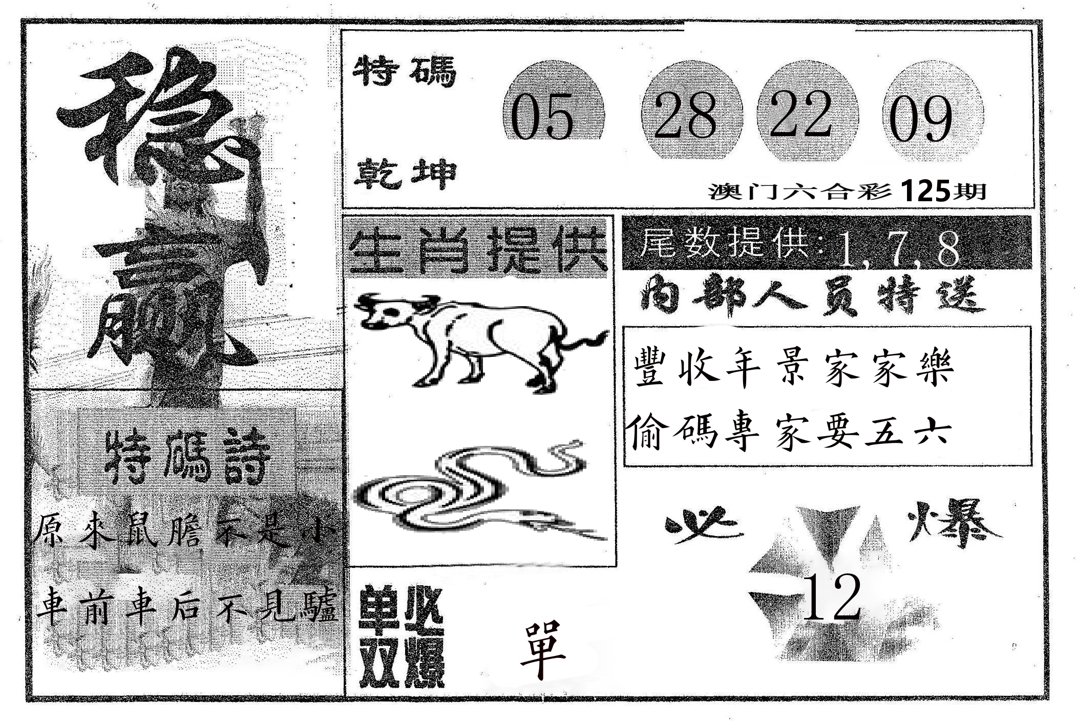 稳赢 第125期