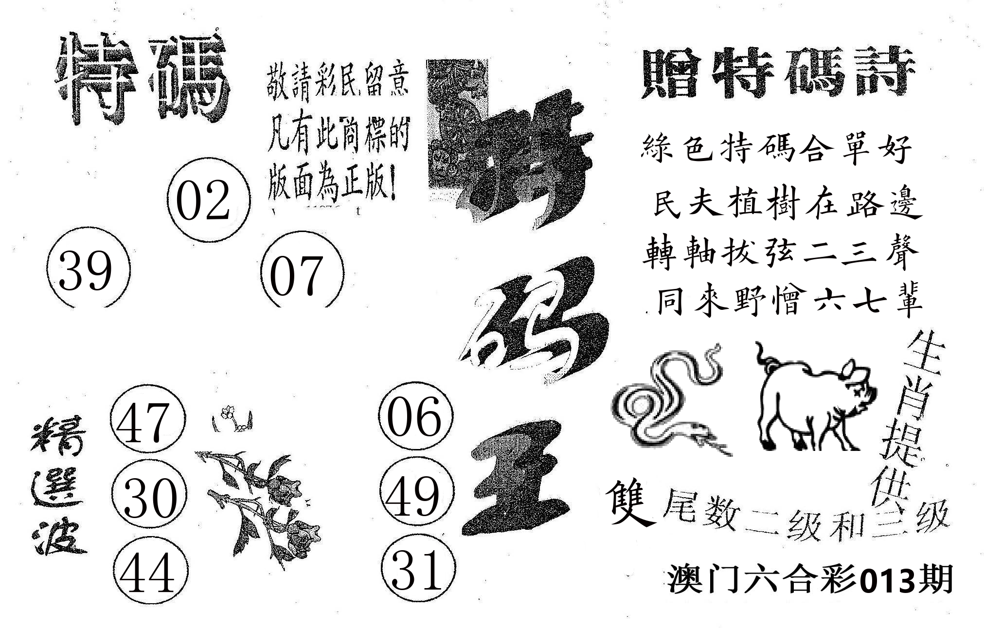 特码王A 第13期