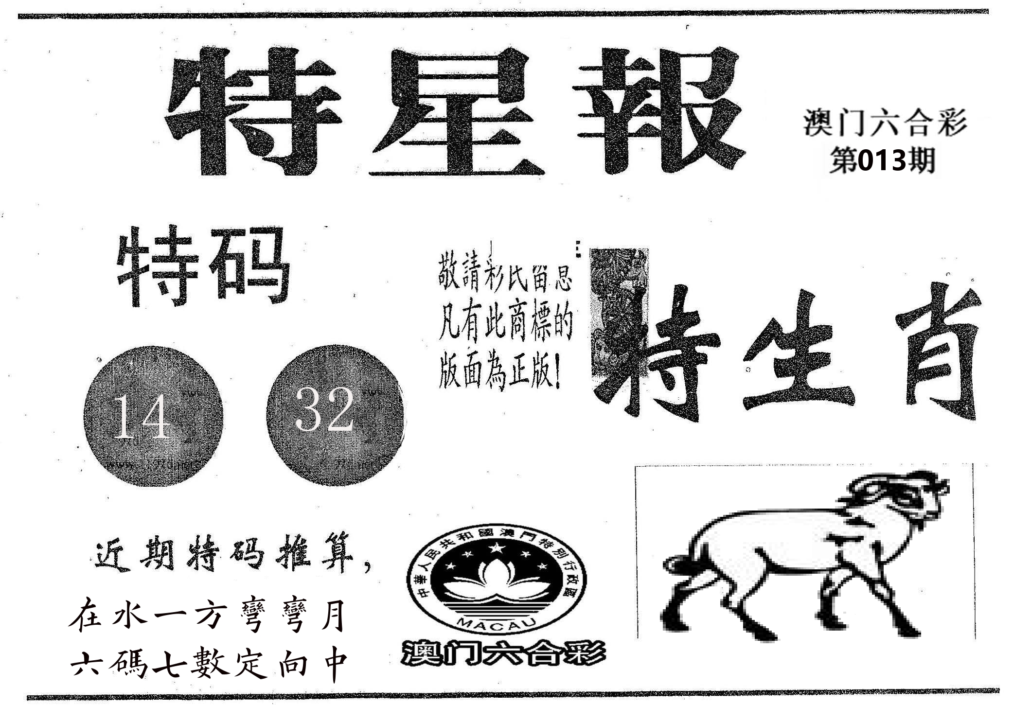 特星报 第13期