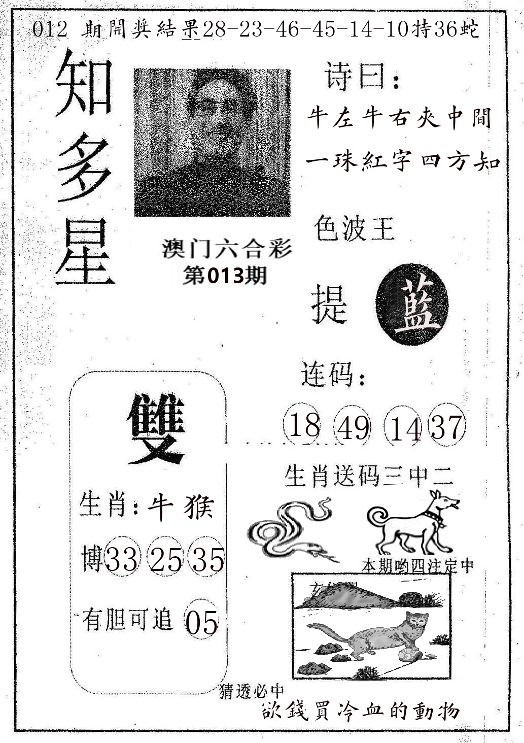 知多星 第13期