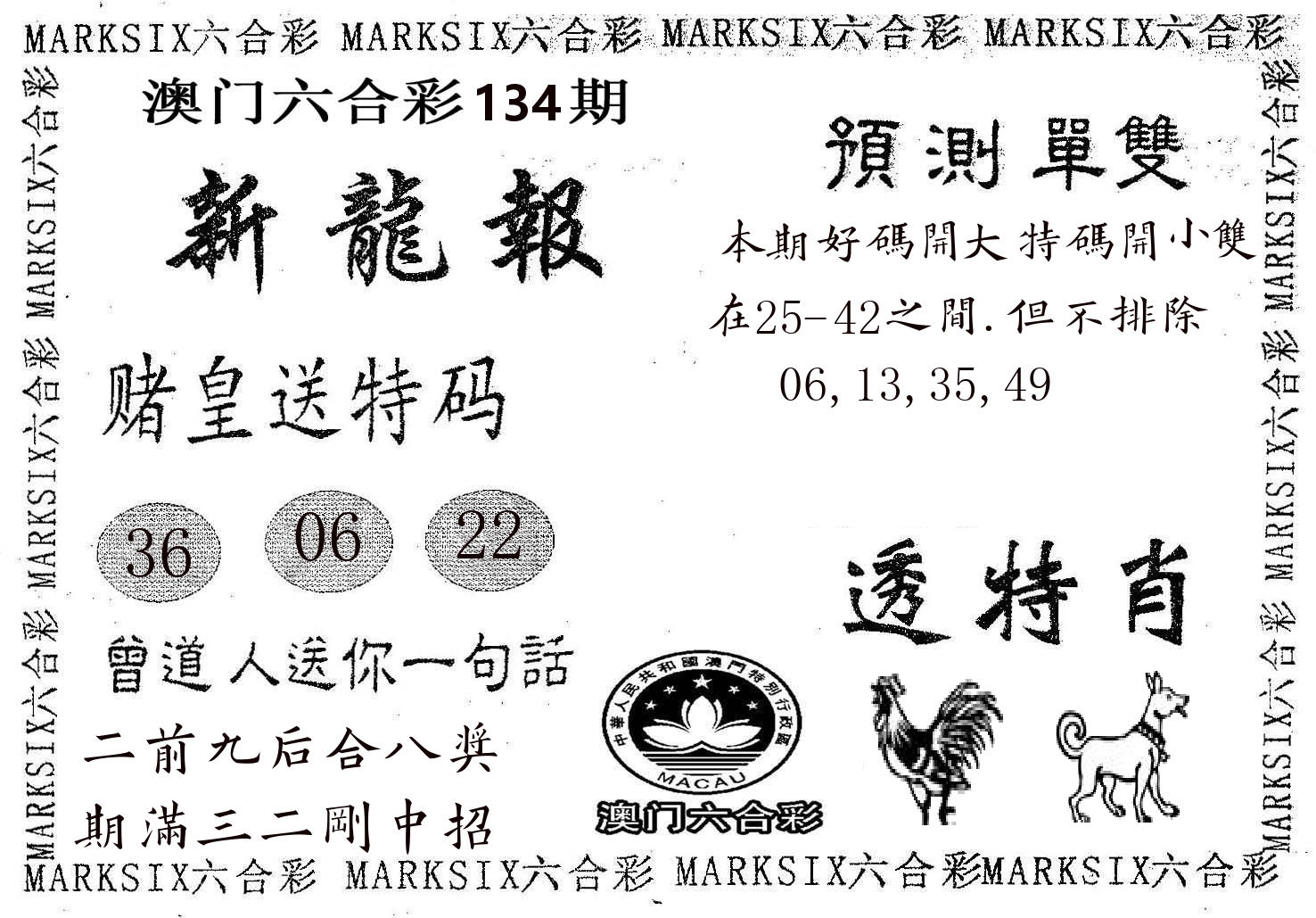 新龙报 第134期