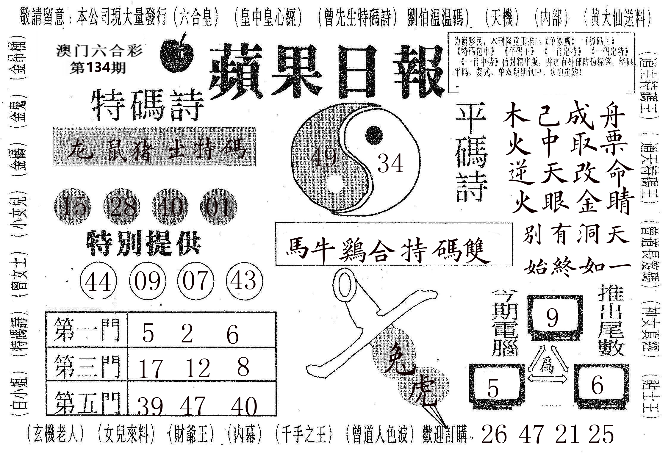 新苹果日报 第134期