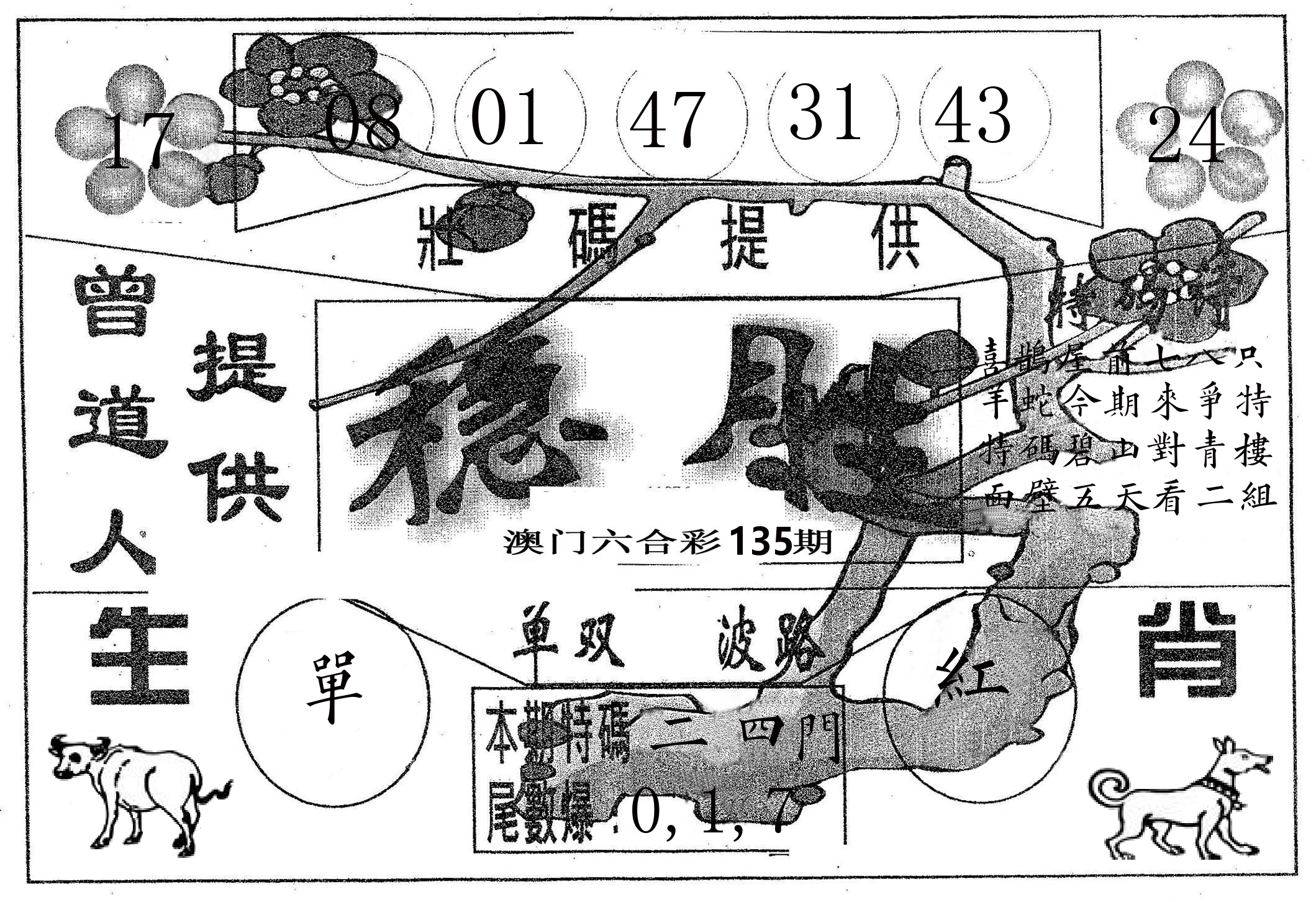 稳胜 第135期