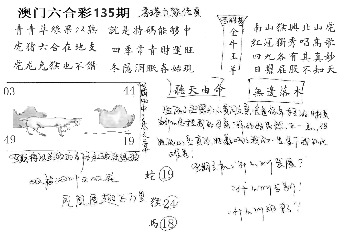 澳门手写九龙 第135期