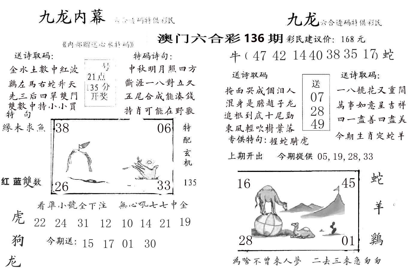 九龙内幕 第136期