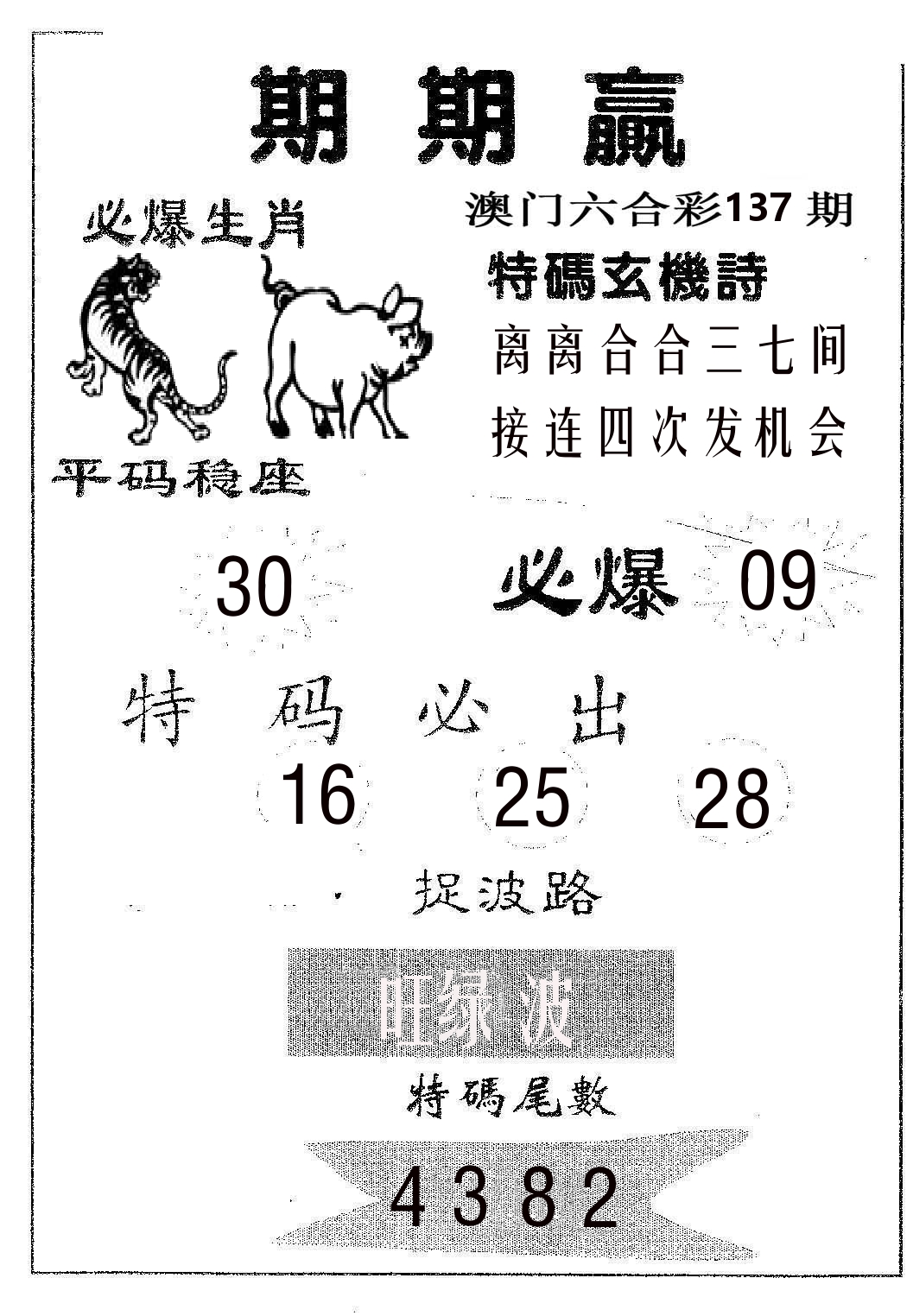 期期赢 第137期
