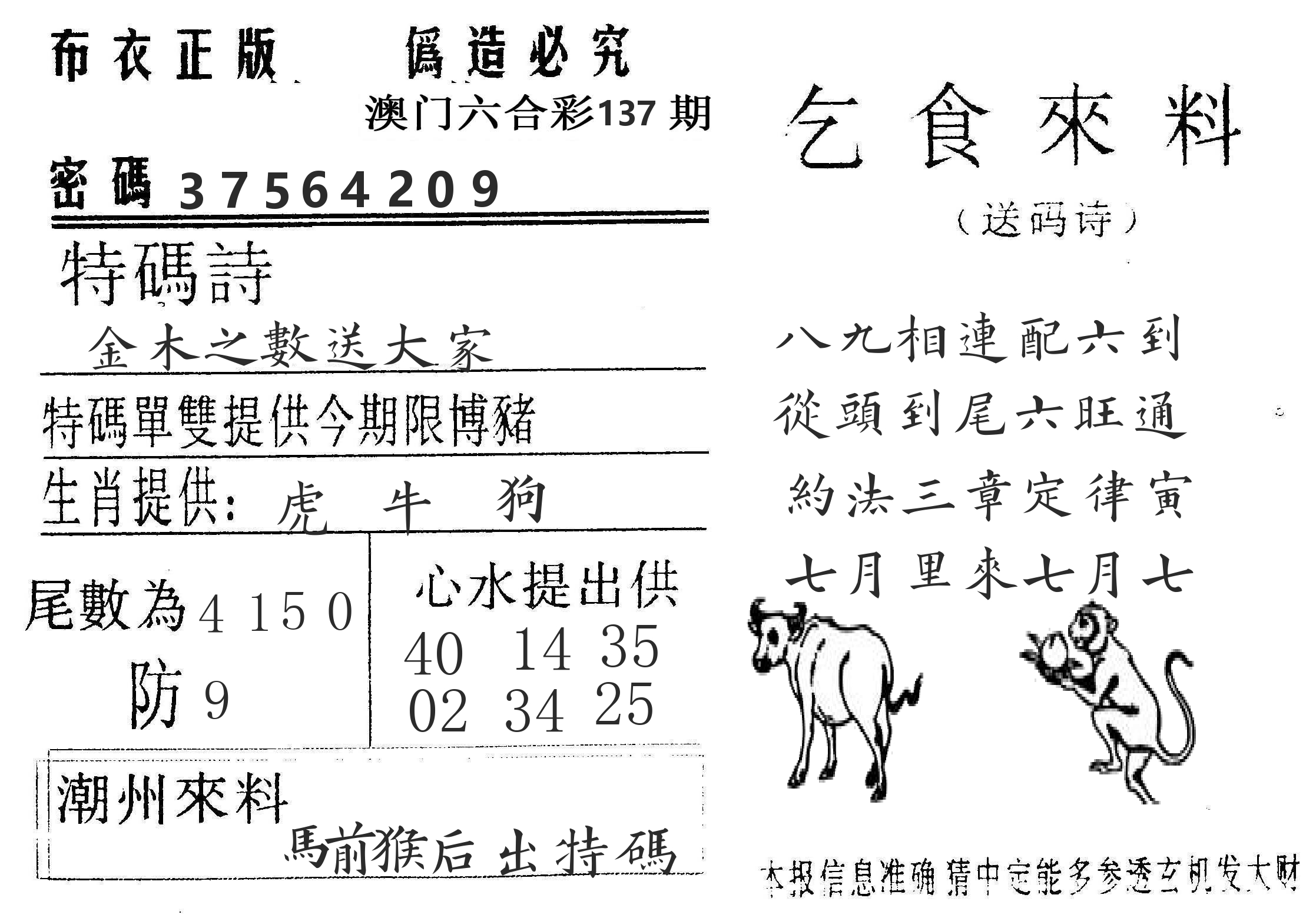 千禧码王 第137期