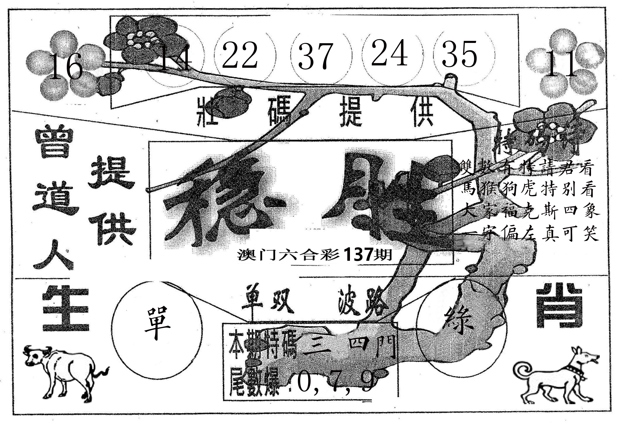 稳胜 第137期