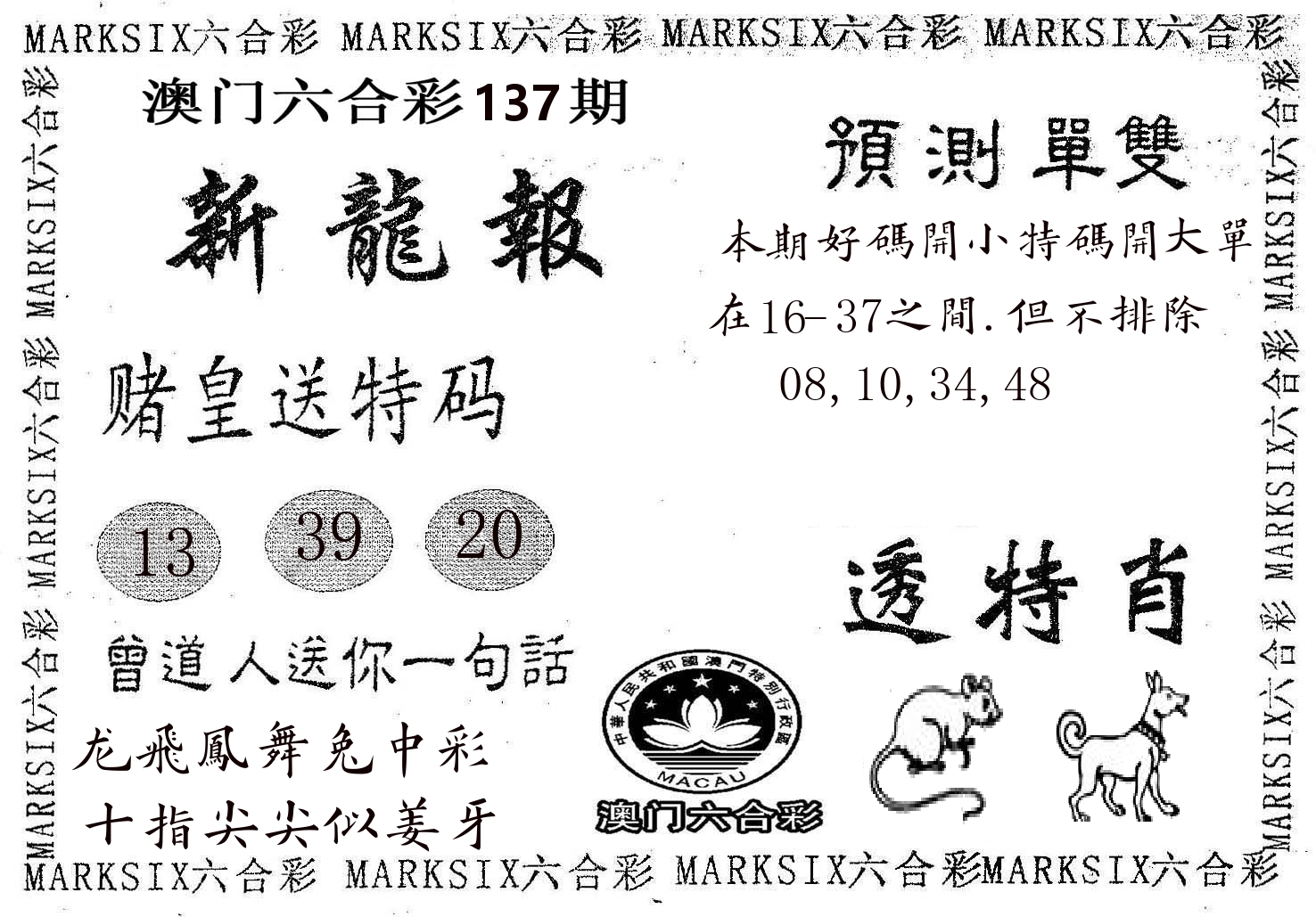 新龙报 第137期