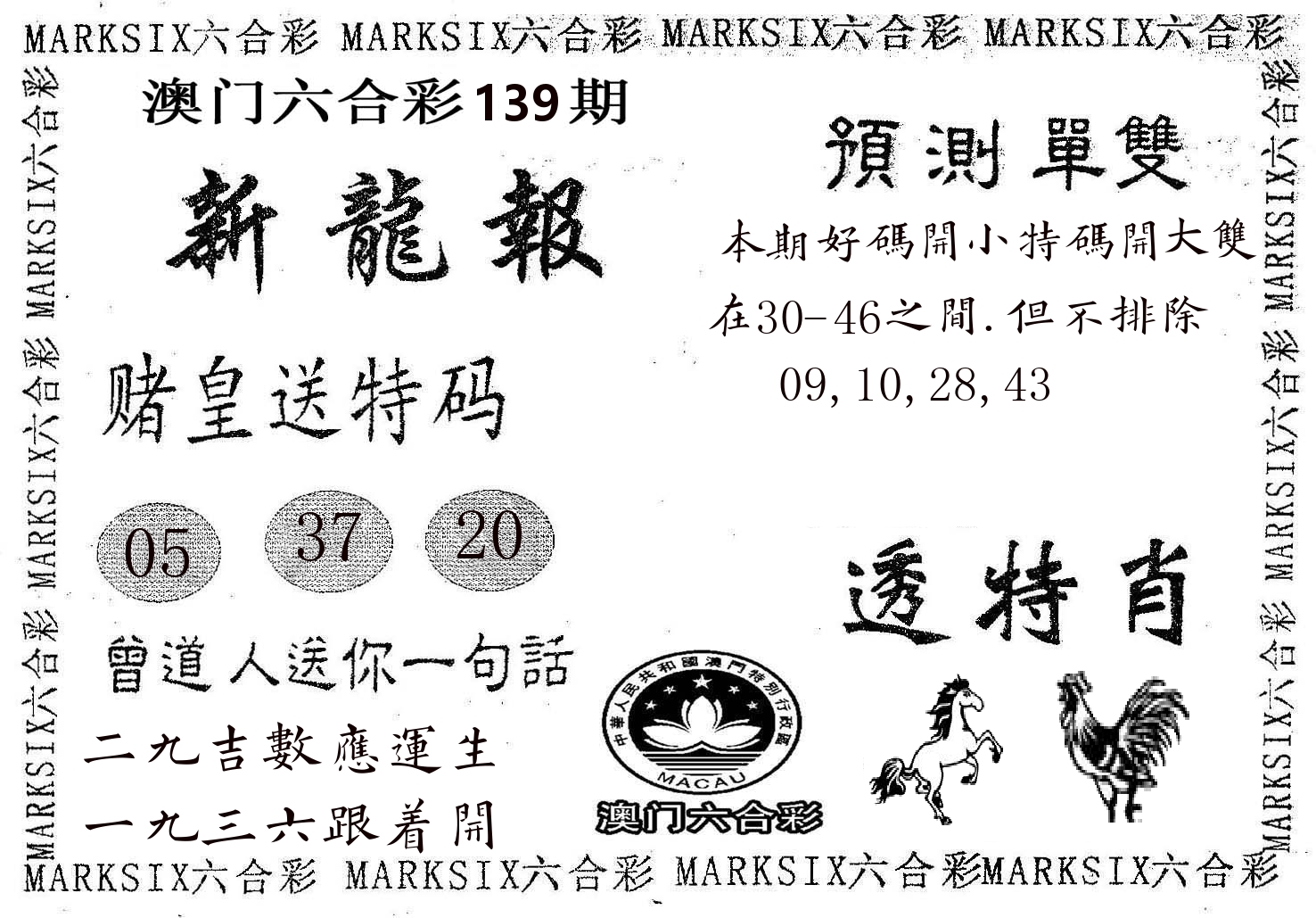 新龙报 第139期