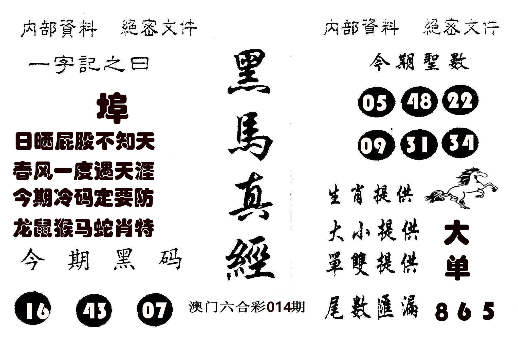 黑马真经 第14期