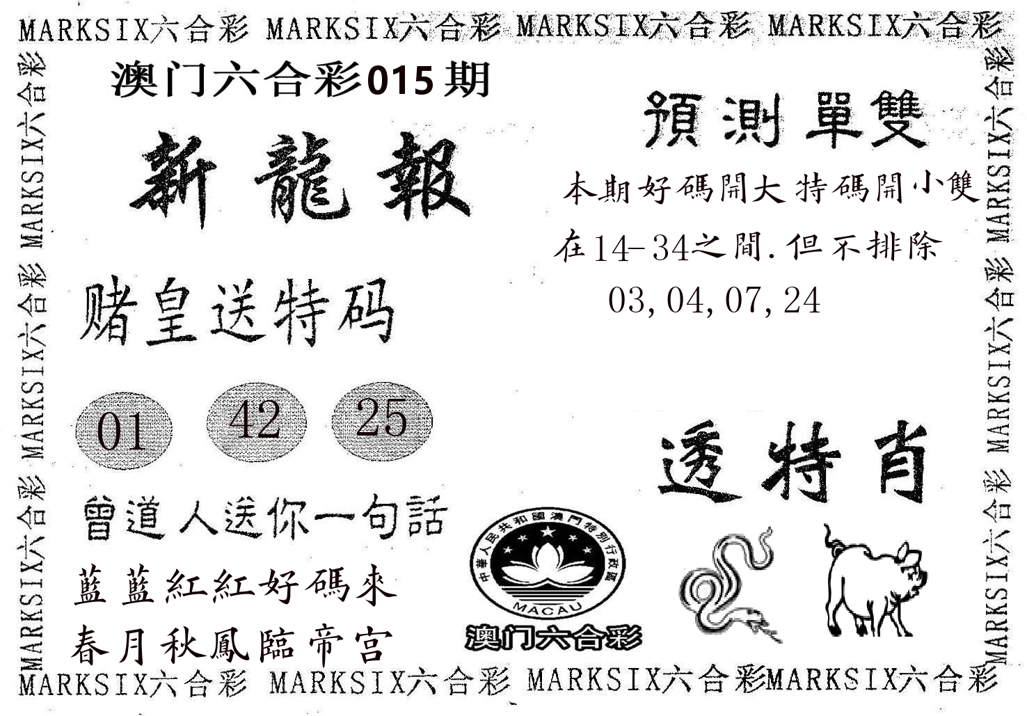 新龙报 第15期