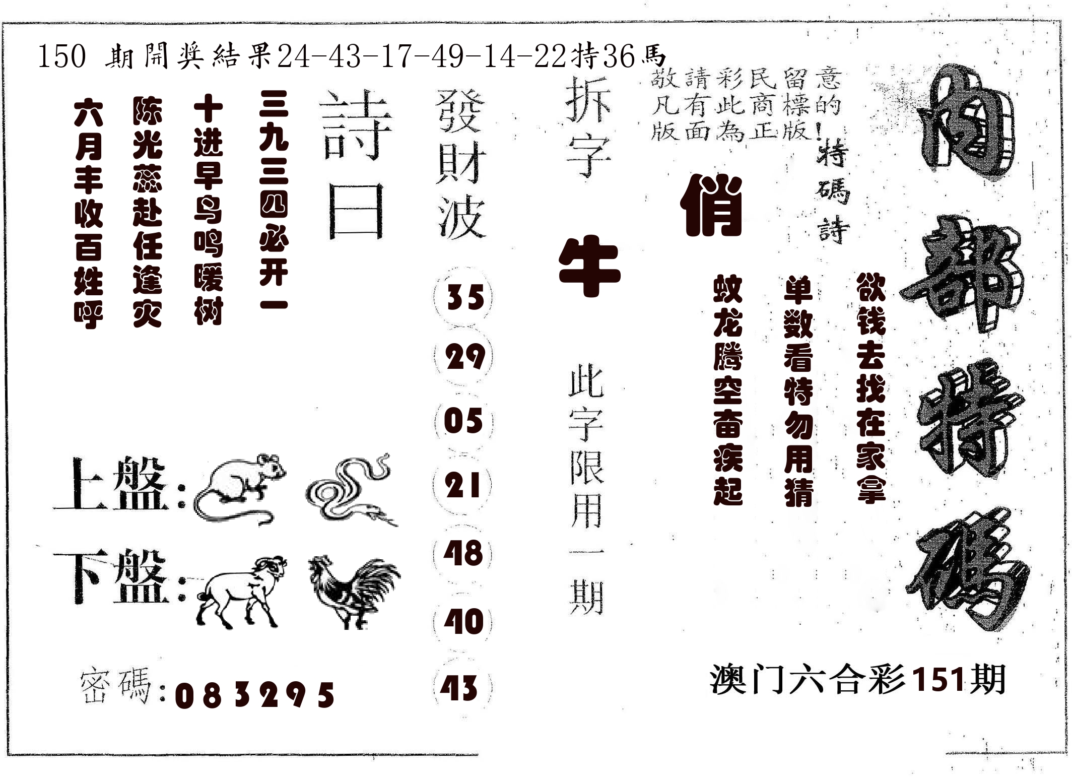 内部特码 第151期