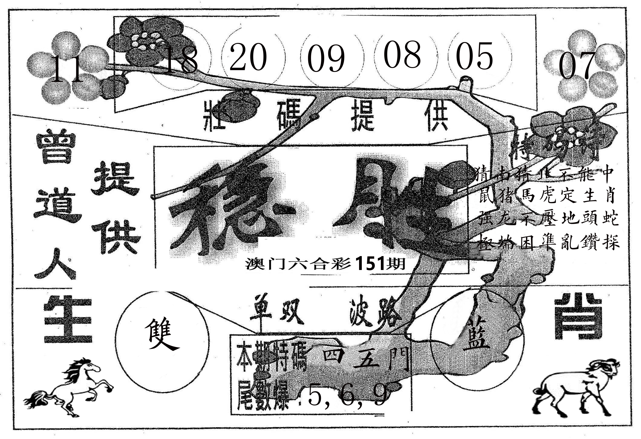 稳胜 第151期