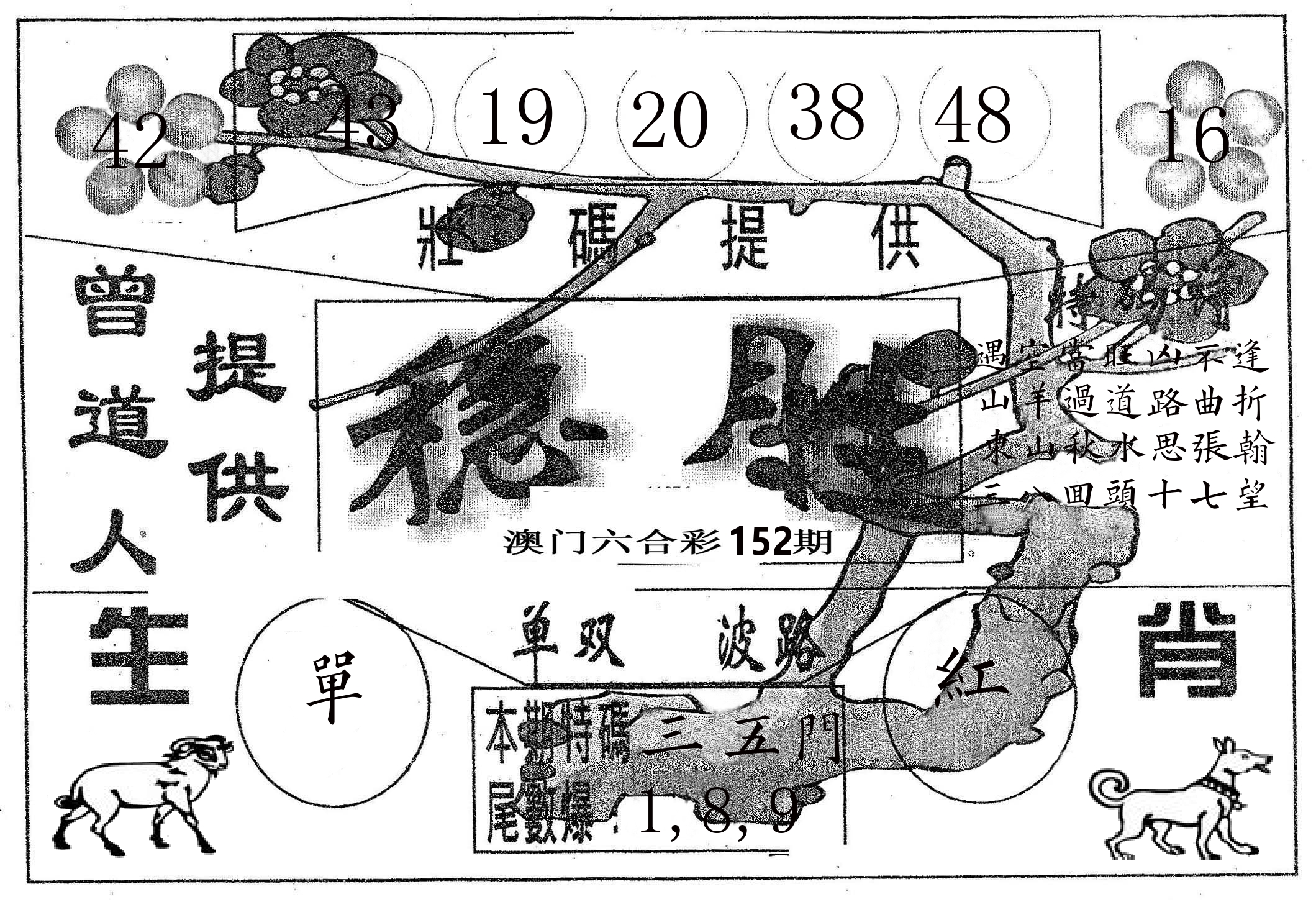 稳胜 第152期