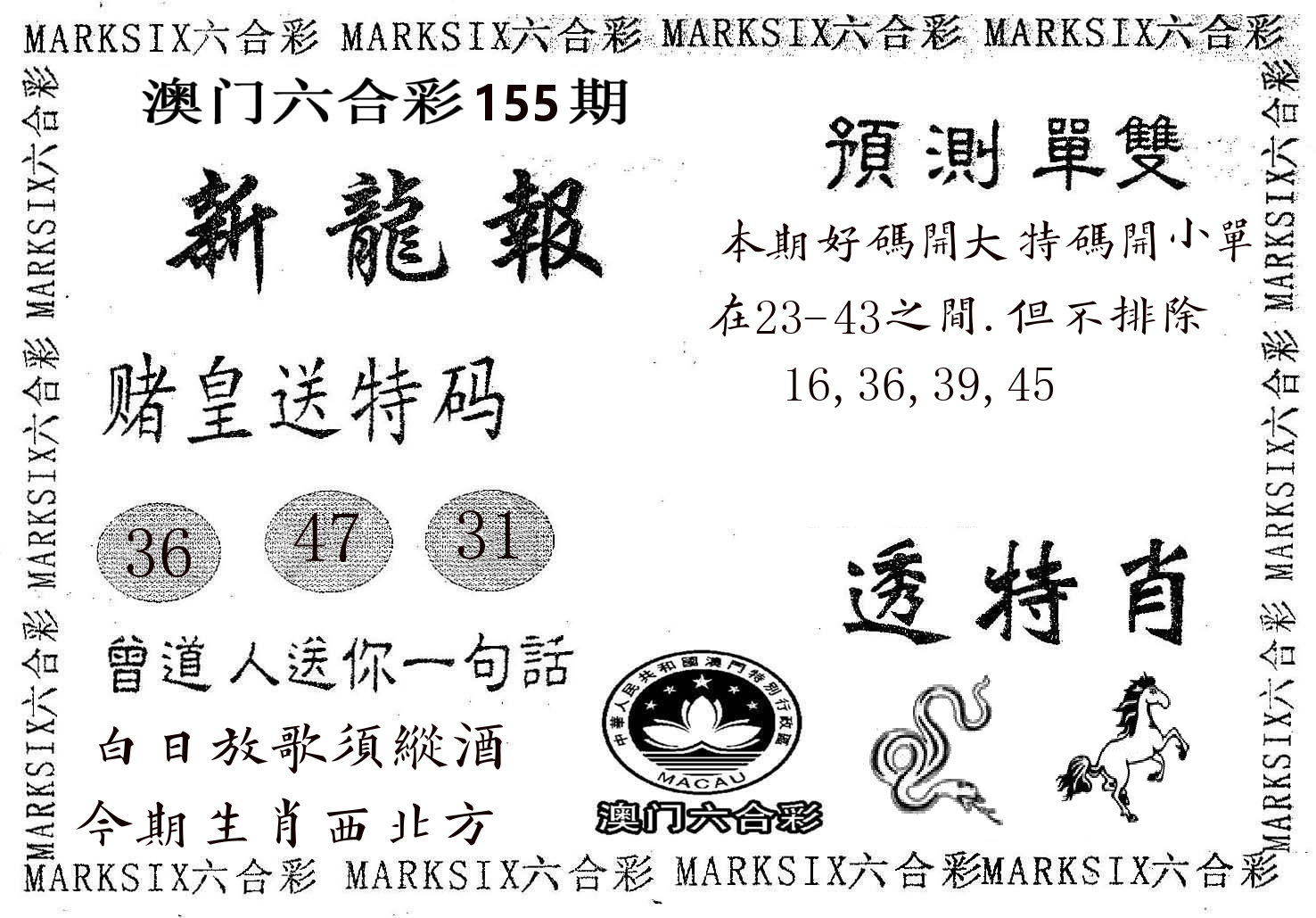 新龙报 第155期