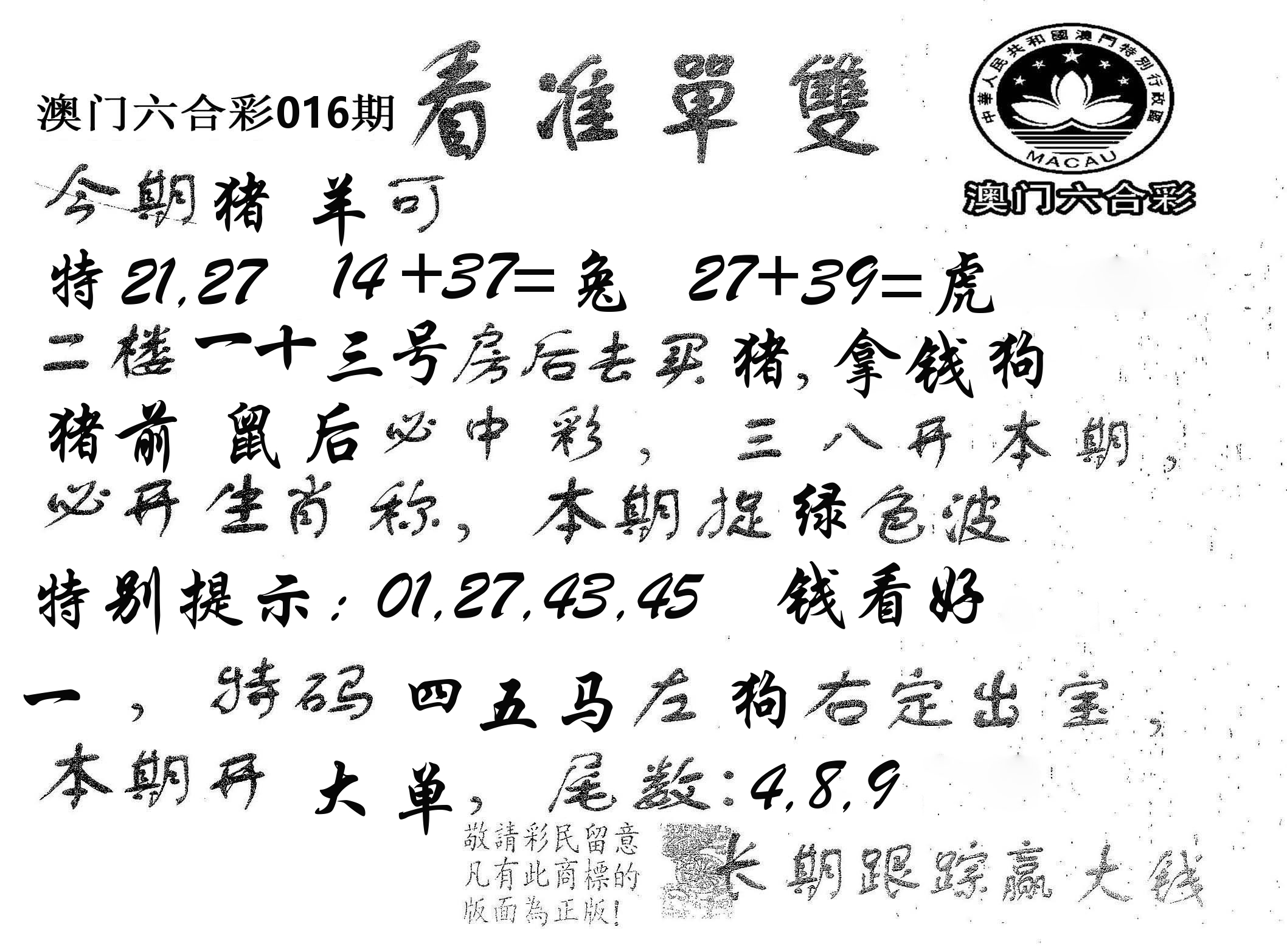 看准单双 第16期