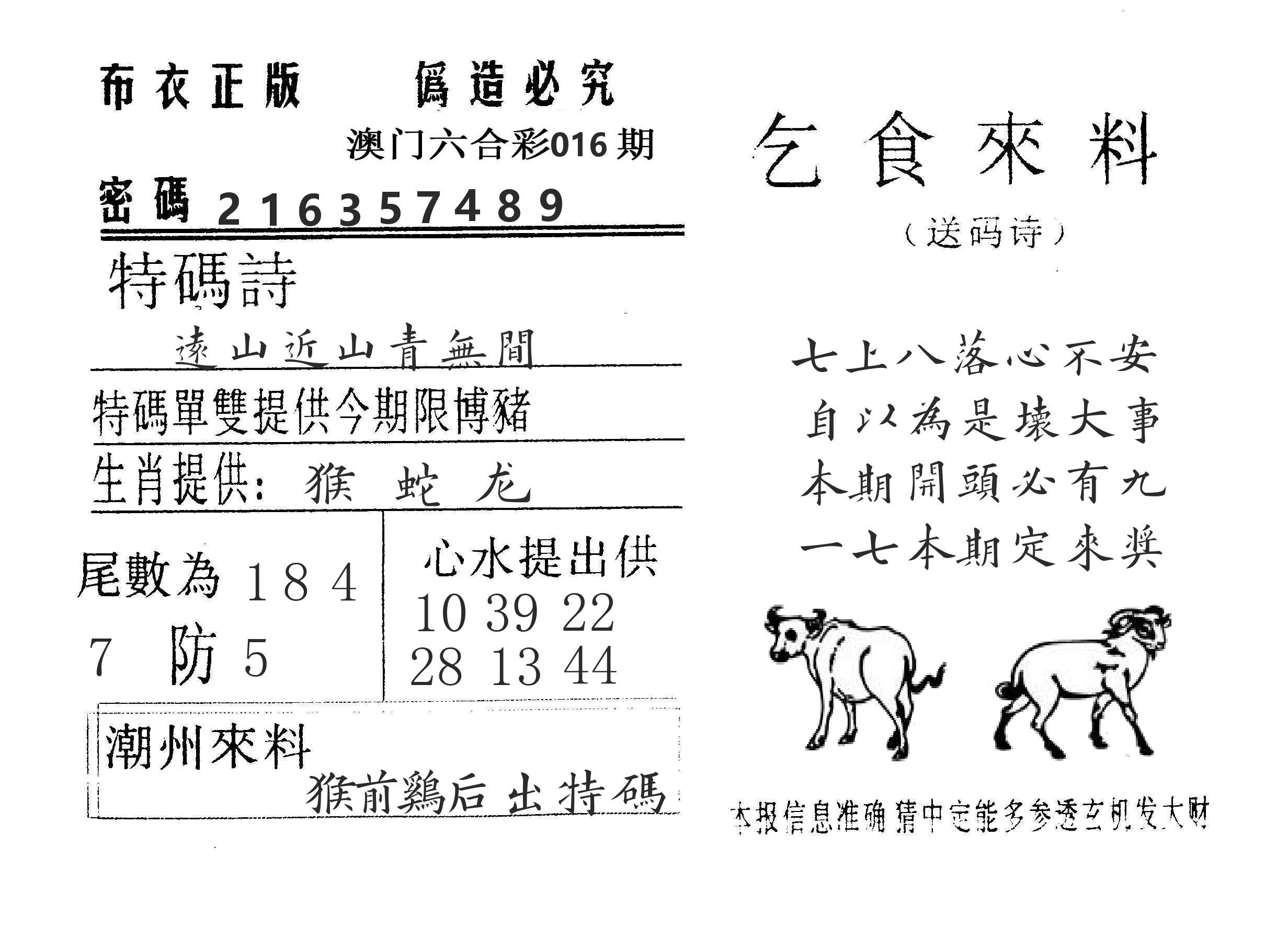 乞食来料 第16期
