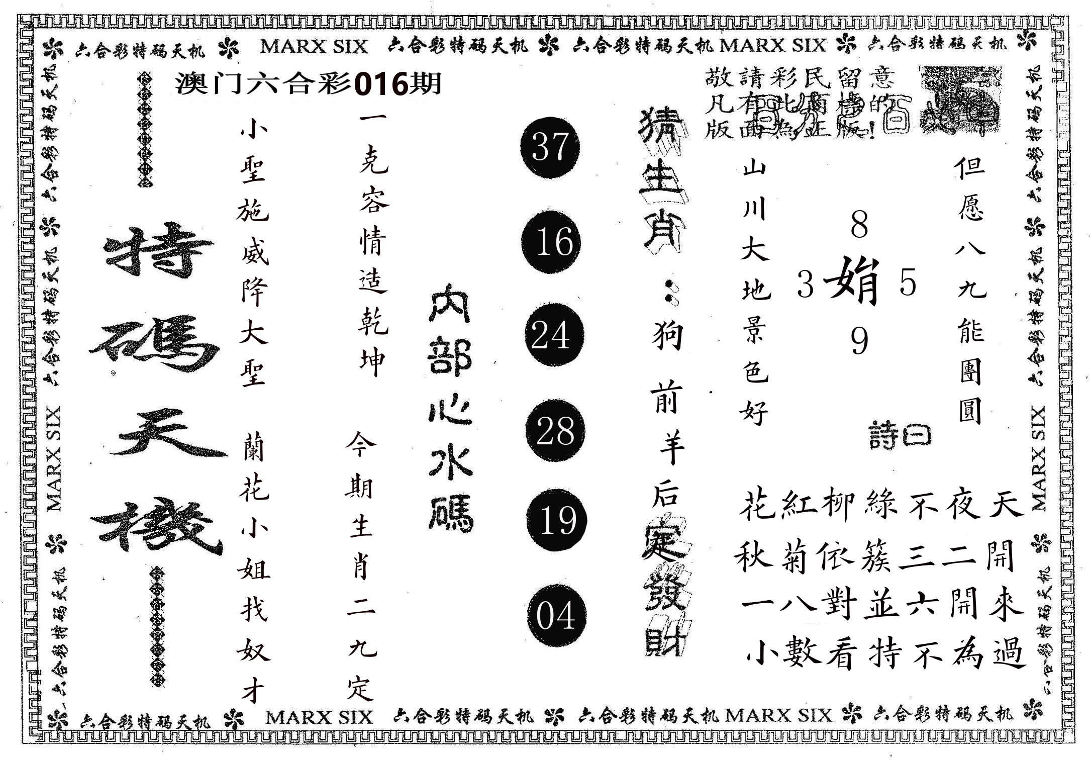 特码天机 第16期